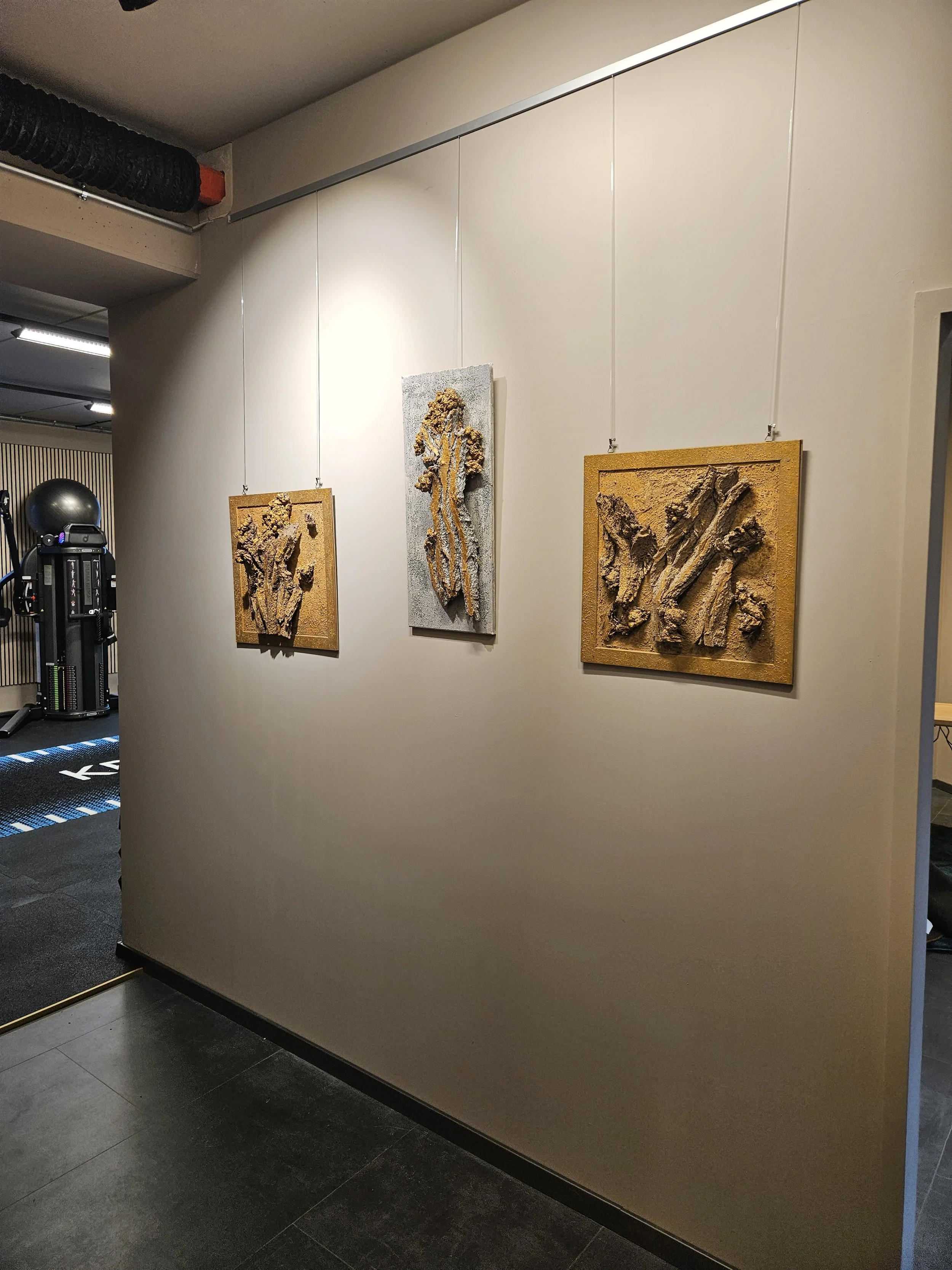 Drei Wandbilder in einem Kunstmuseum oder einer Galerie, bestehend aus Skulpturen mit erdigen Texturen, an einer weißen Wand aufgehängt, mit Gym-Ausrüstung im Hintergrund.