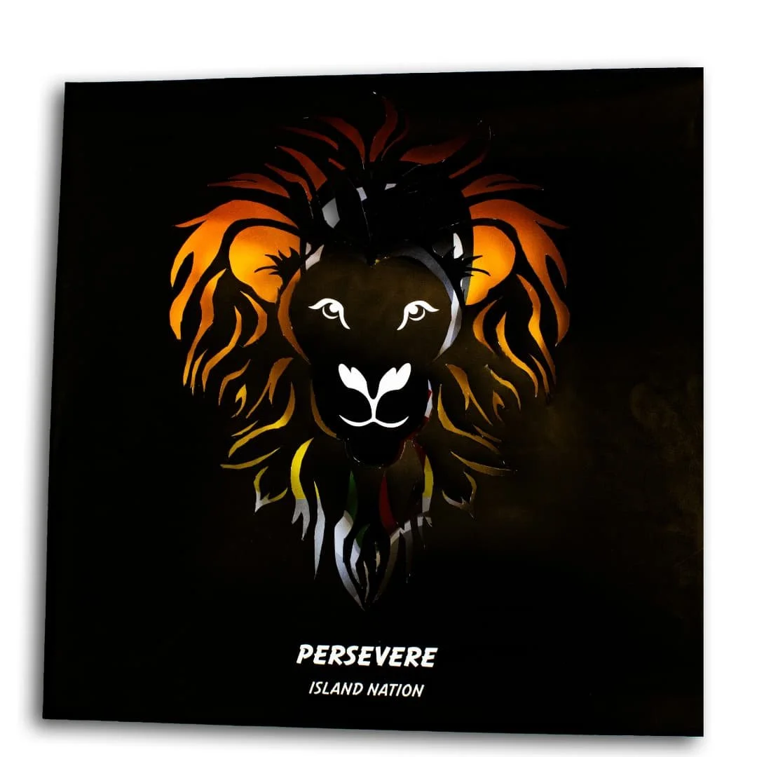 LP album design is such a fun project 😊