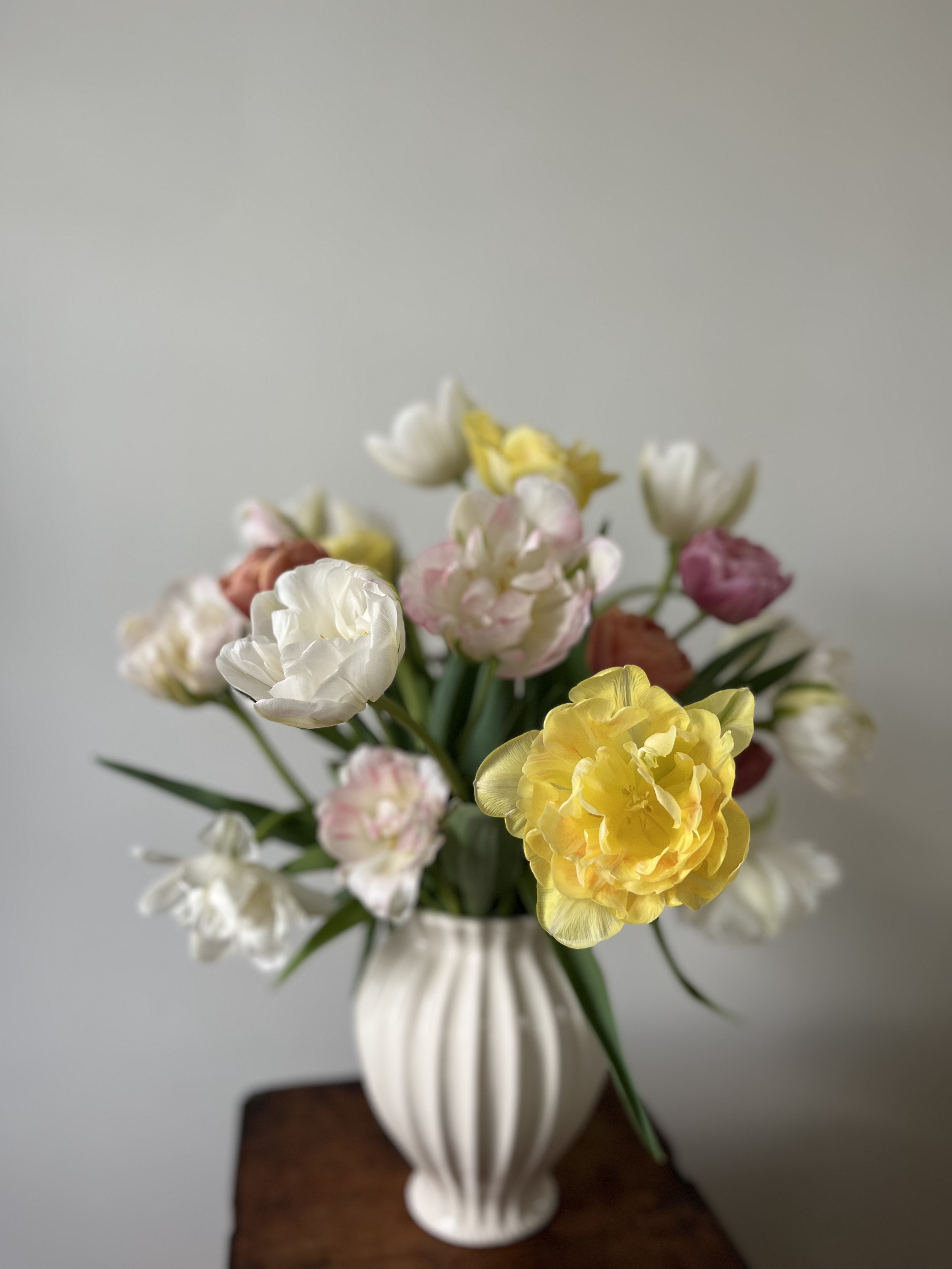 tulips.png