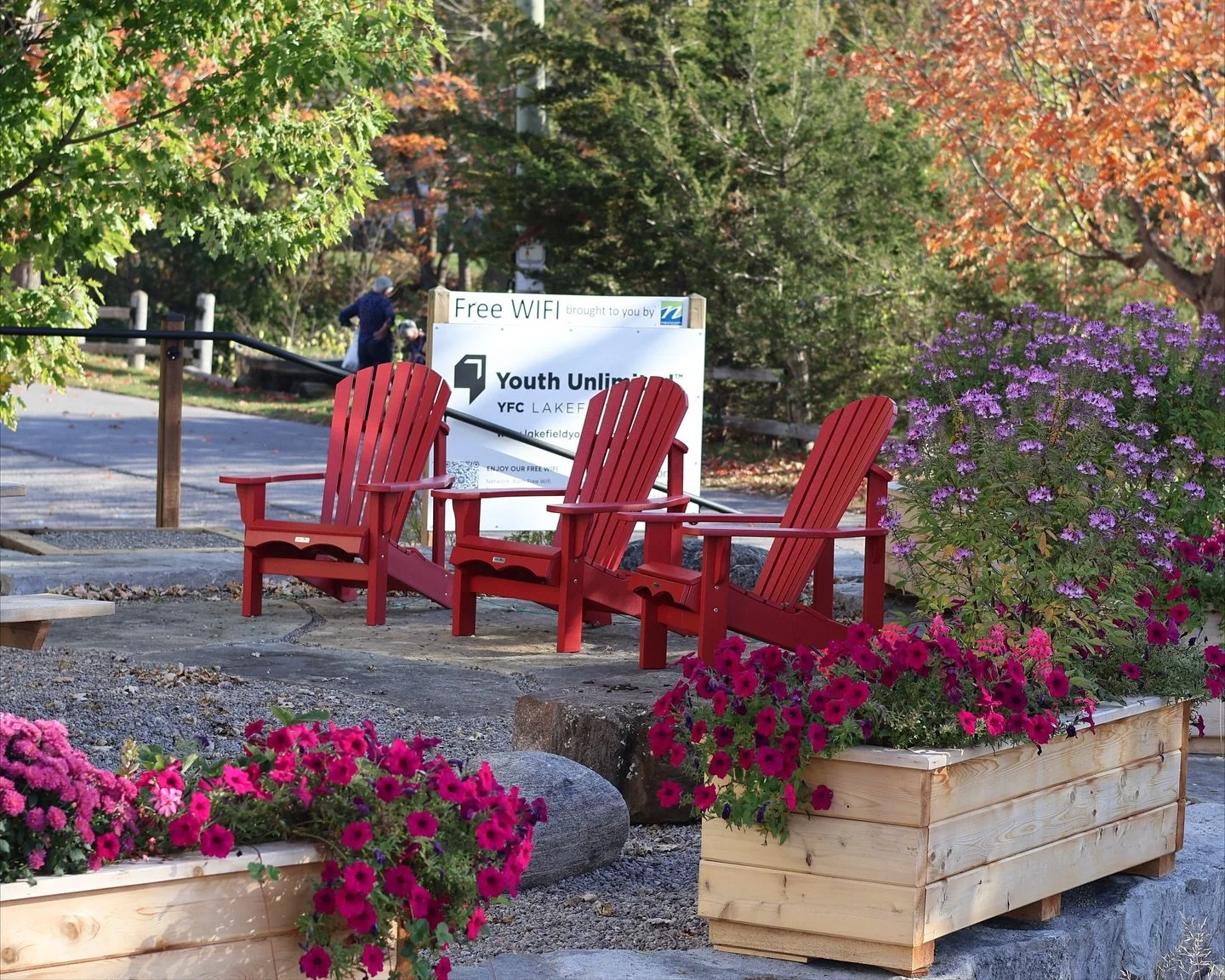 Lakefield Youth Unlimited has created a beautiful new community rock garden beside the LYU Barn at 25 Bridge Street, and it&rsquo;s the perfect spot to relax, read, and connect.

Over the summer, the outdoor area was transformed to include a seating 