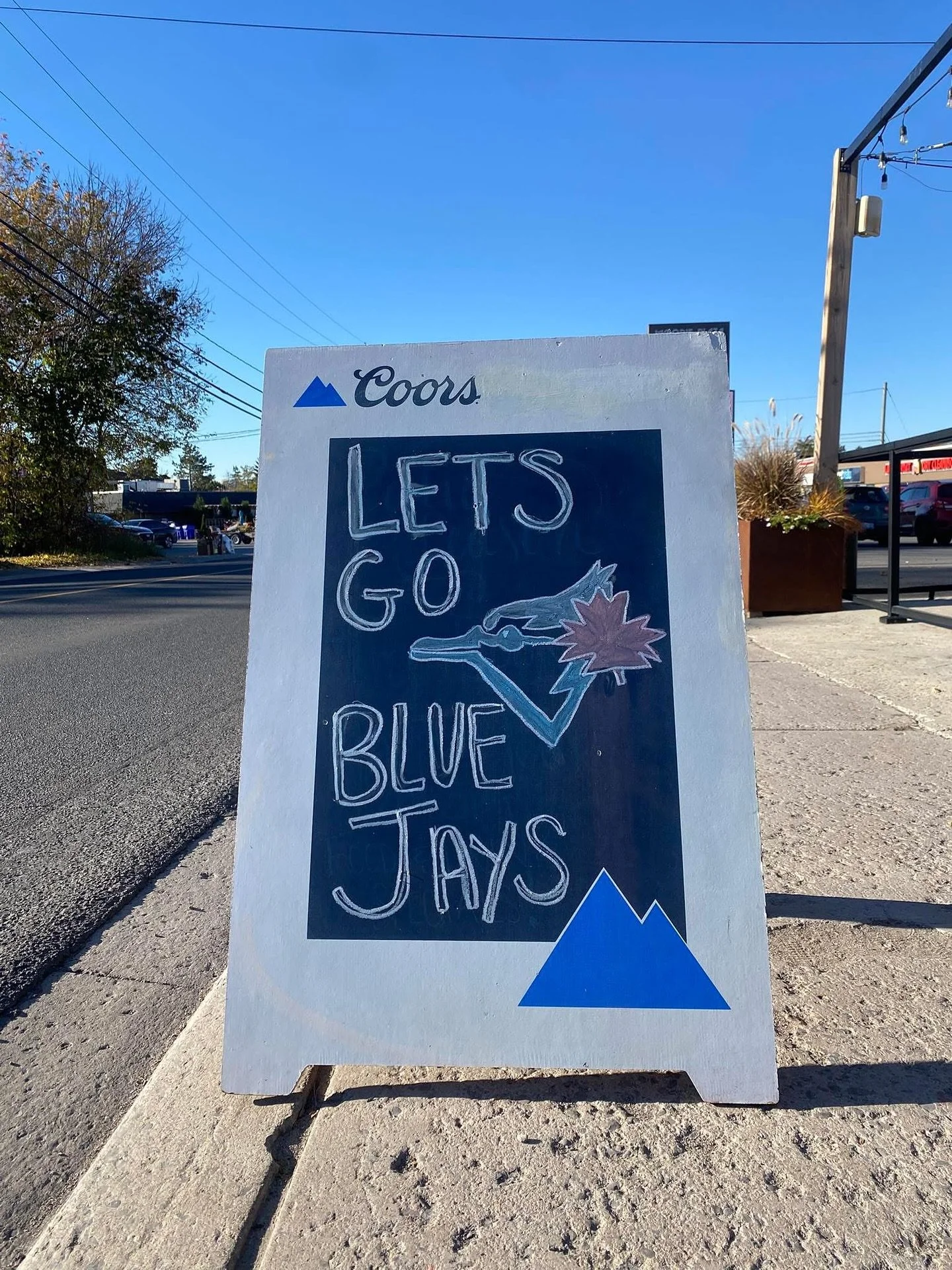 #Lakefield is cheering for the @bluejays! ⚾️

@theloonlakefield @paris.marine @lakefieldfarmersmarket
