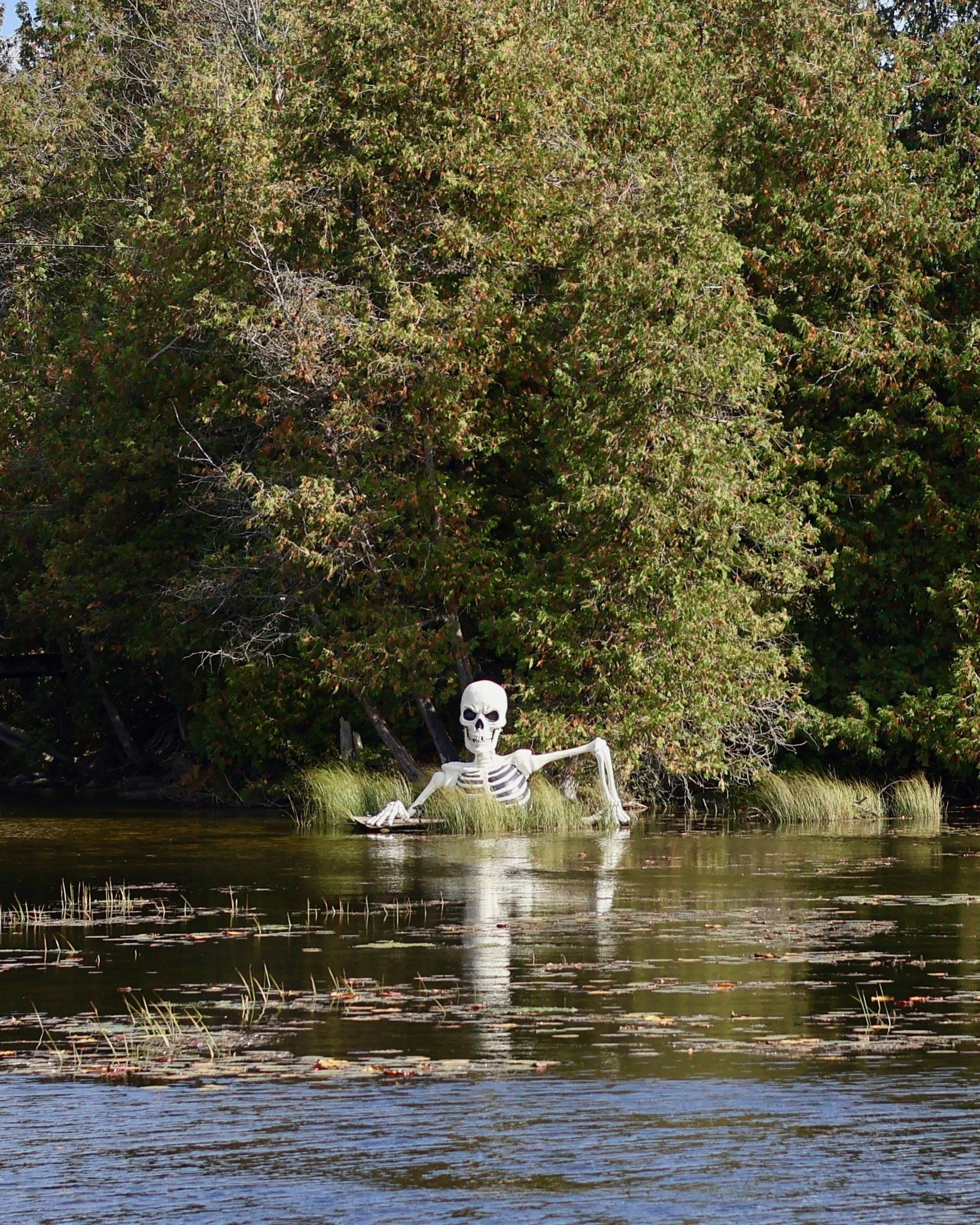 Happy Halloween! No bones about it, it's going to be spook-tacular! 💀 🎃