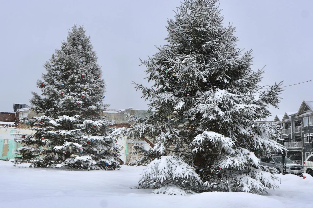 Kawartha Home Hardware Christmas Tree Lighting