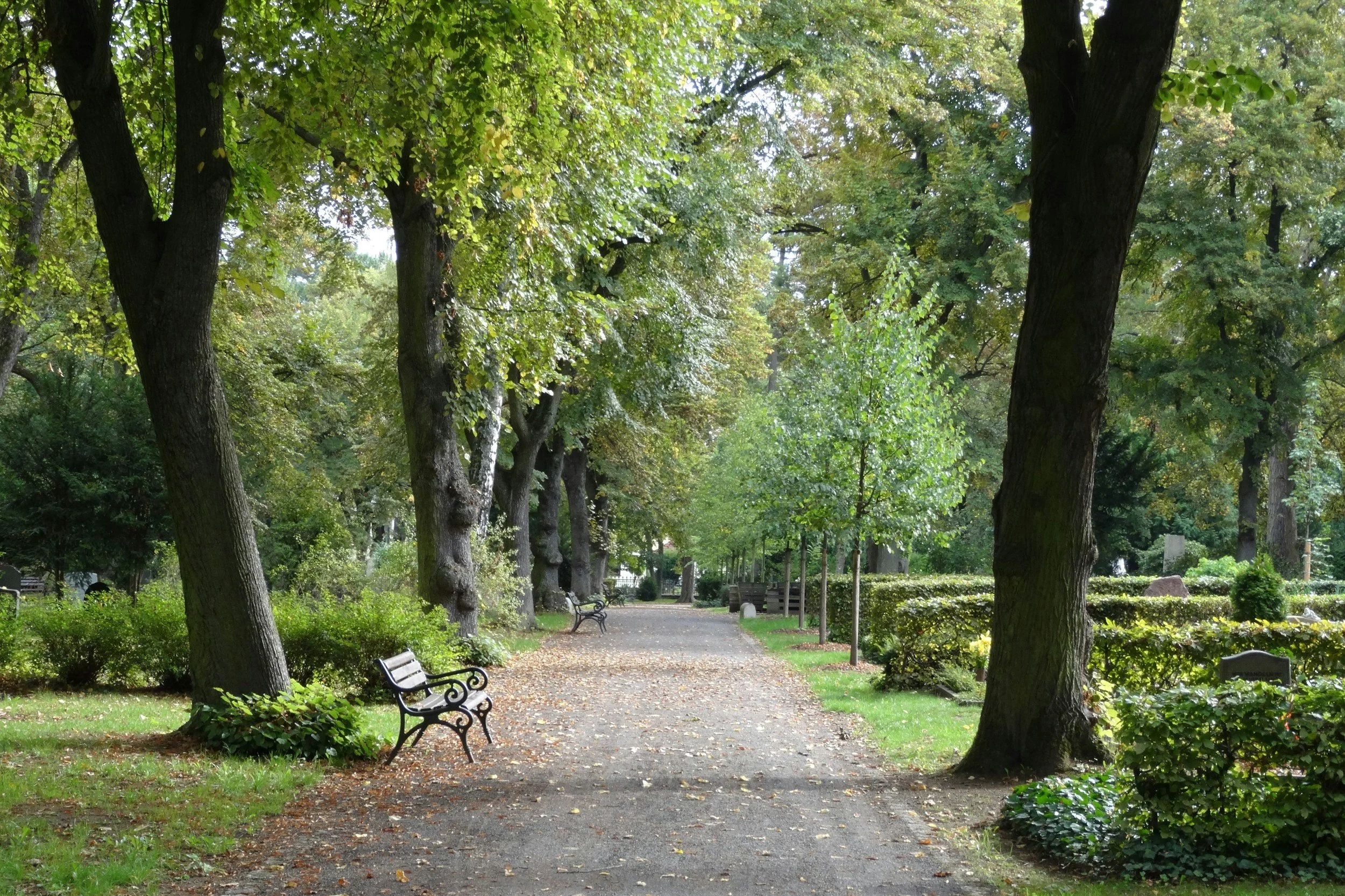 A Natural Return: Exploring Green Burial an Information Session
