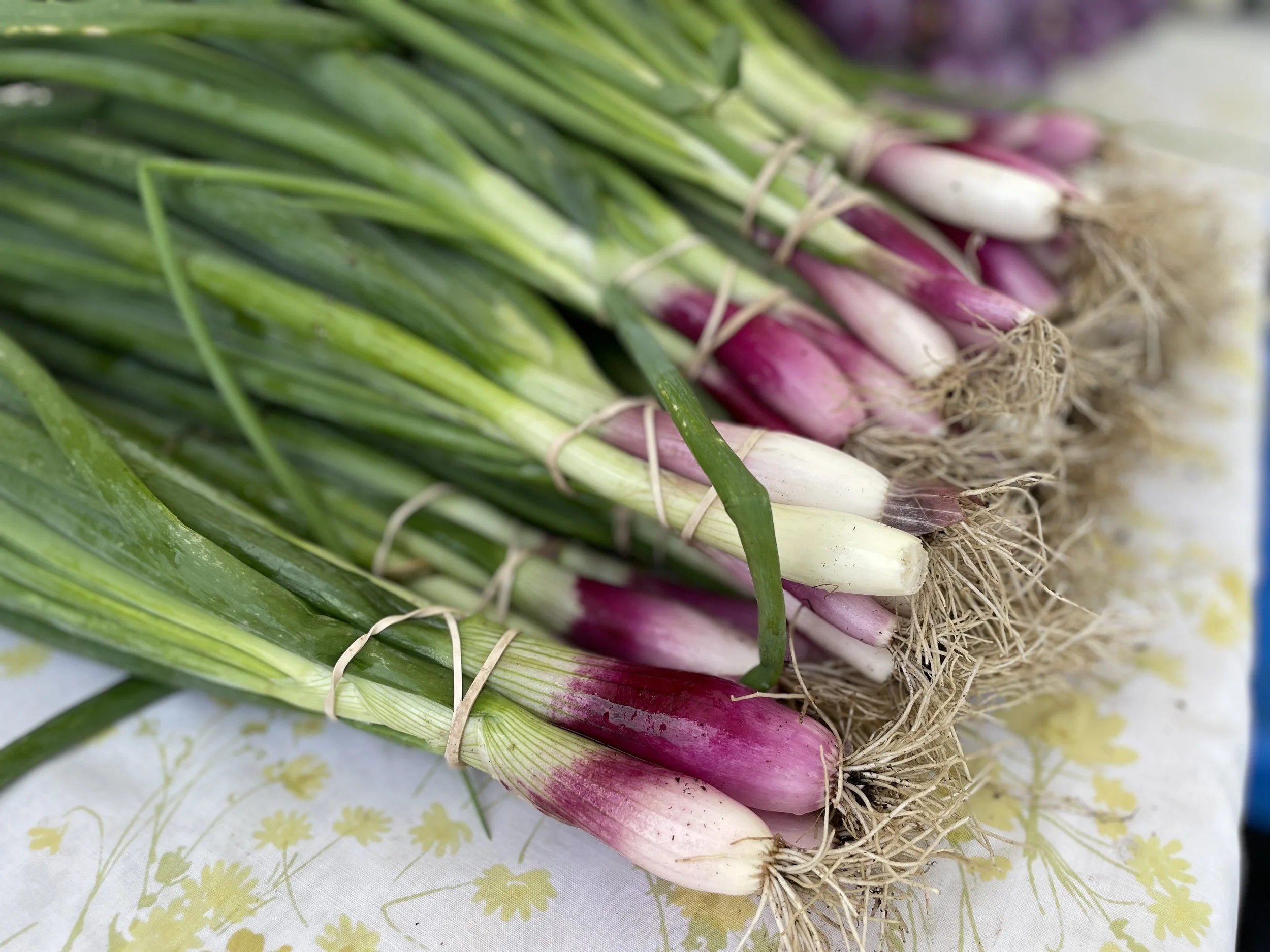 Lakefield Farmers' Market
