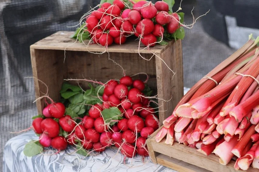 It&rsquo;s market day in Lakefield. The Lakefield Farmers&rsquo; Market is open today, and every Thursday, from 9:00 a.m. - 1:00 p.m. in the Lakefield-Smith Community Centre parking lot.