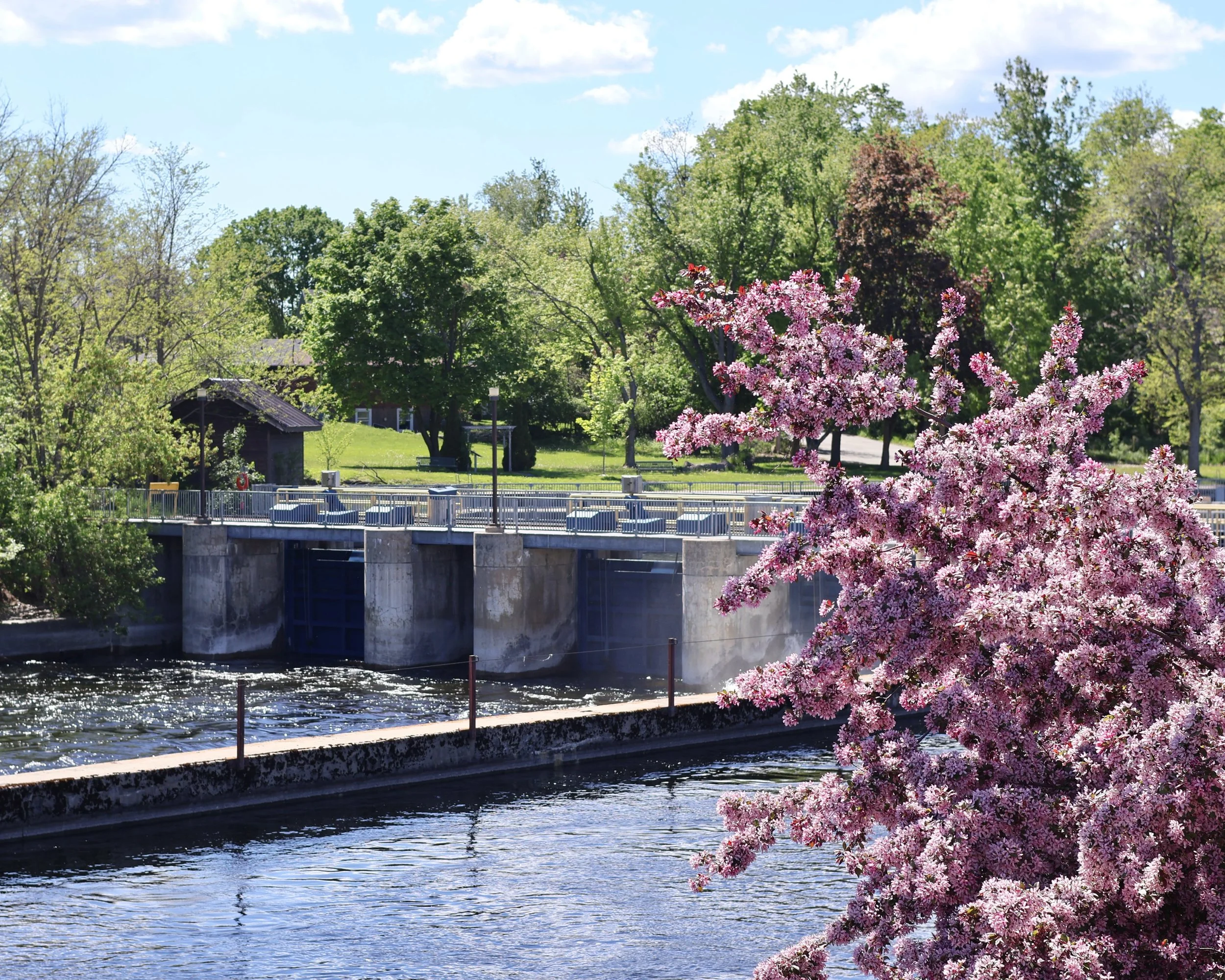 Happy Friday #Lakefield