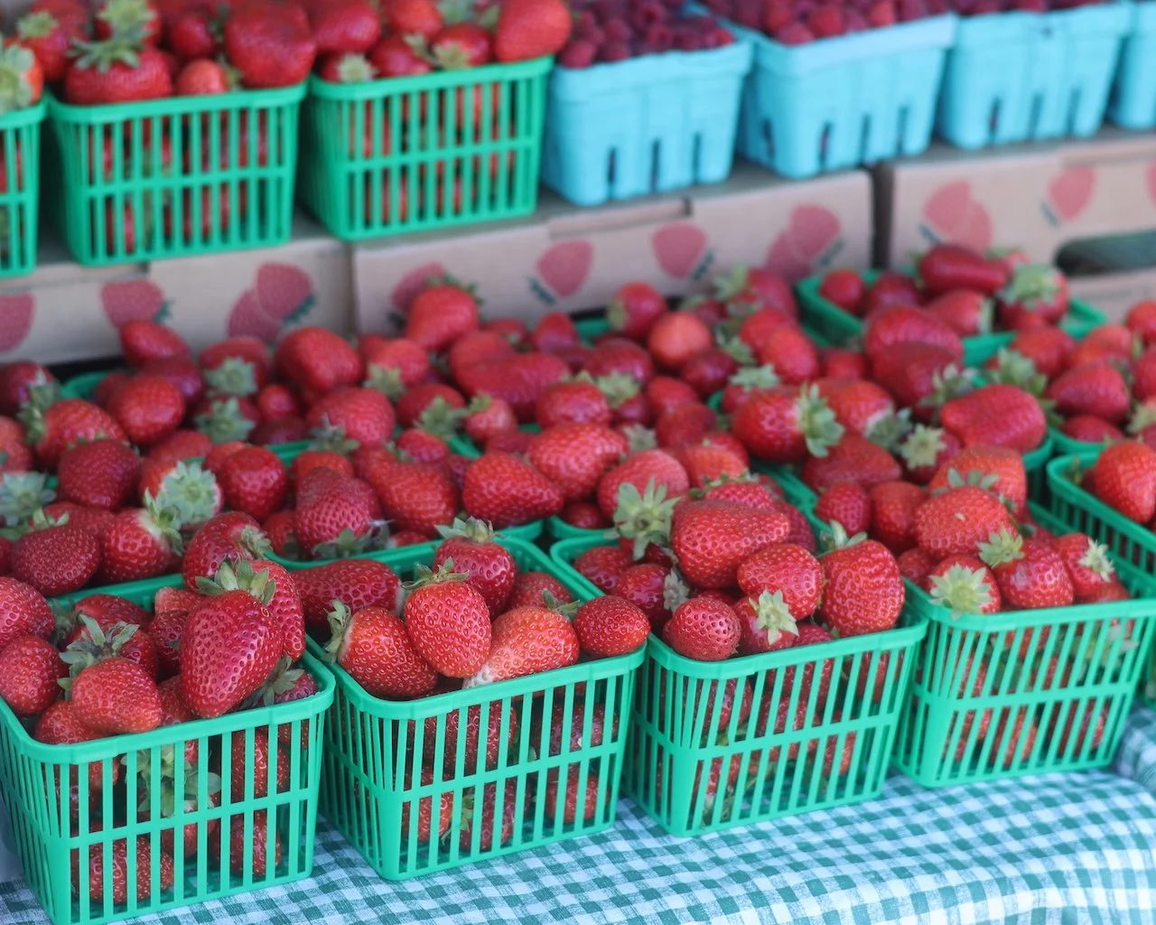 Lakefield Farmers' Market - Berry Bash