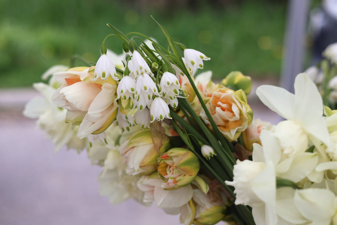 IMG_1573.png