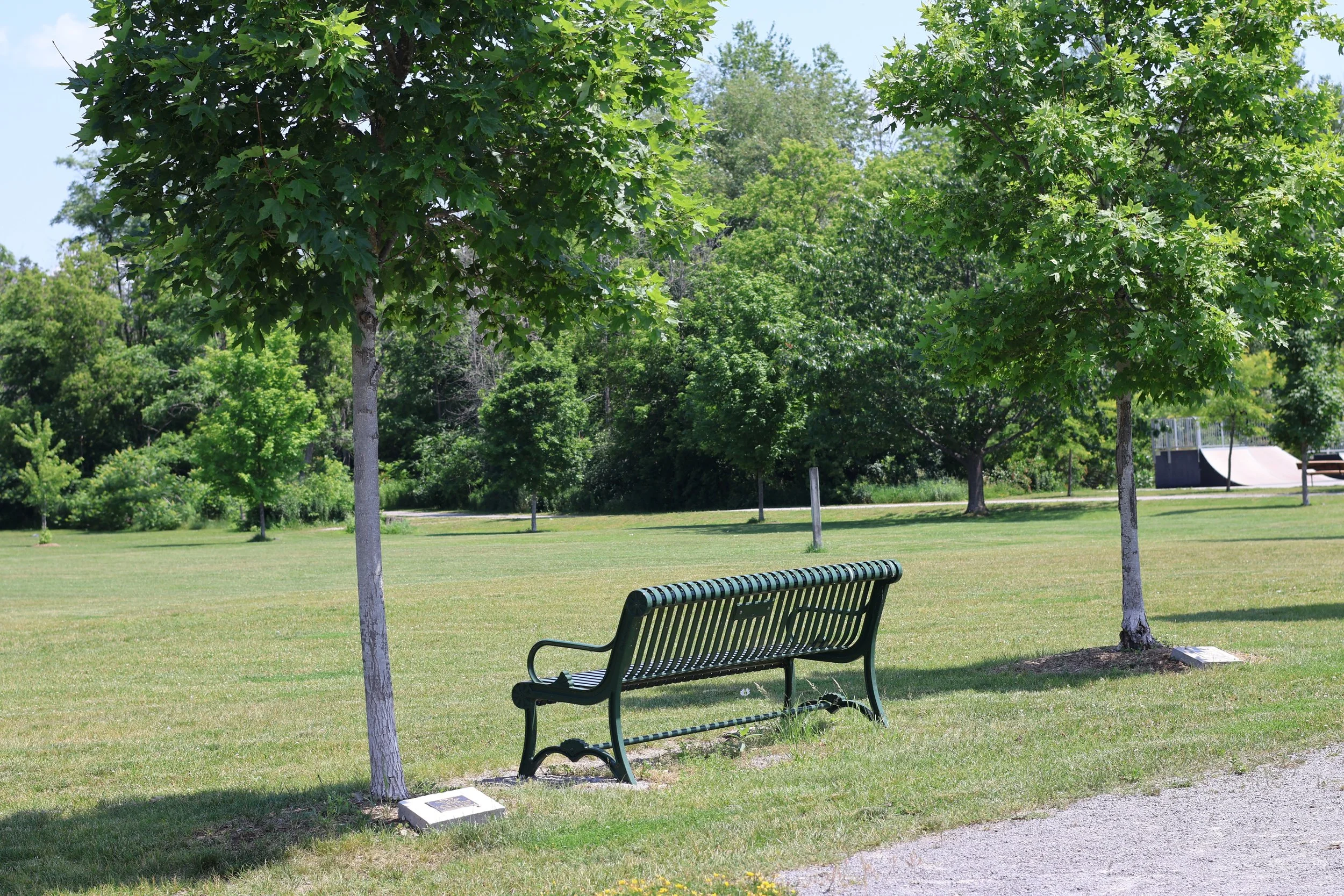 Yoga in the Park