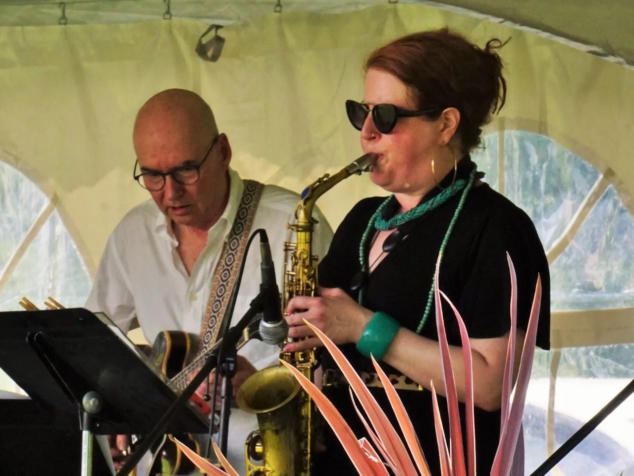 Lakefield Jazz, Art & Craft Festival