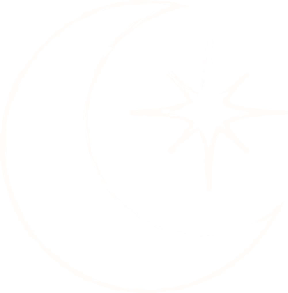 white crescent moon and star icon