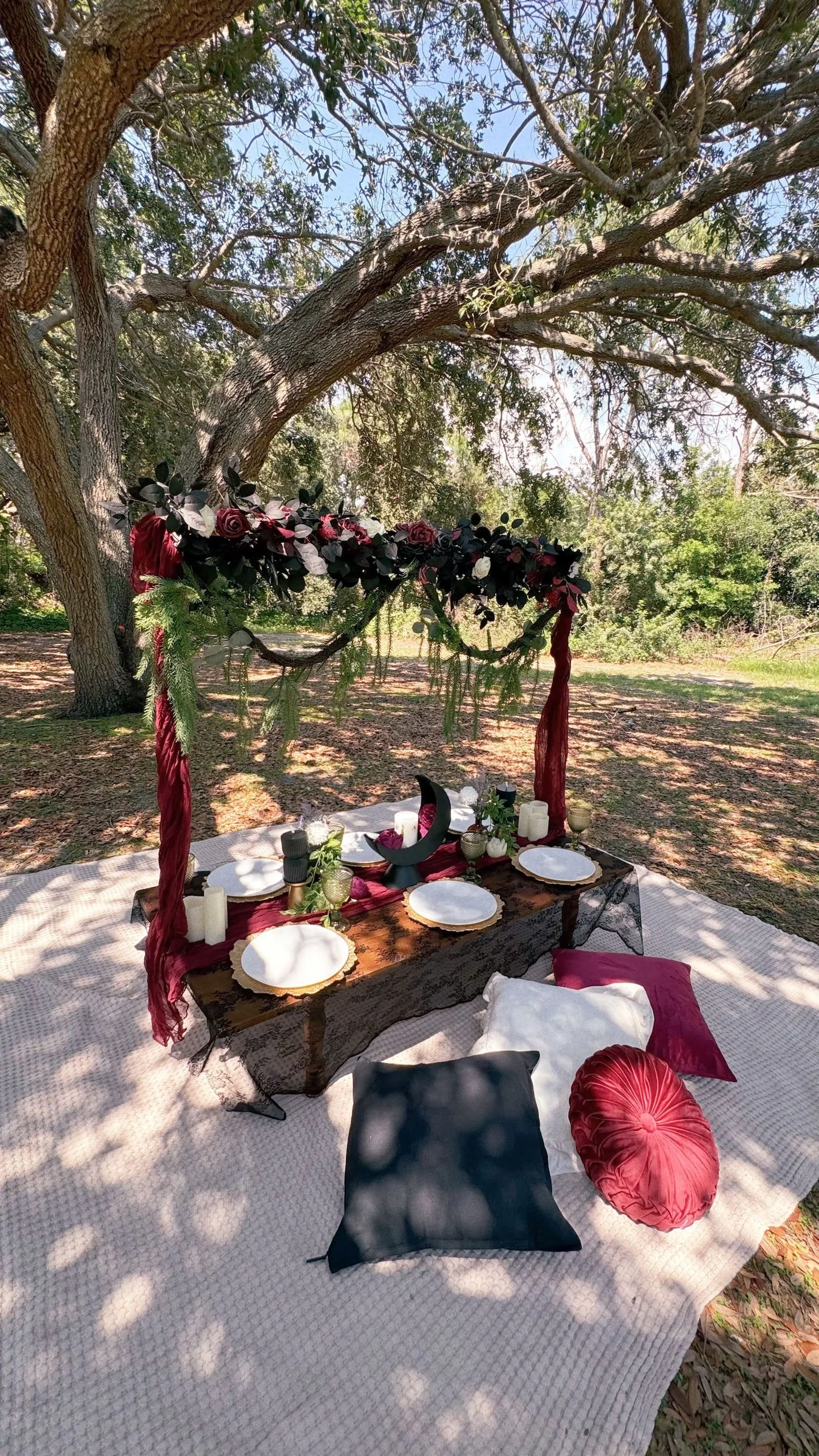 lace themed picnics tampa and st. petersburg, FL