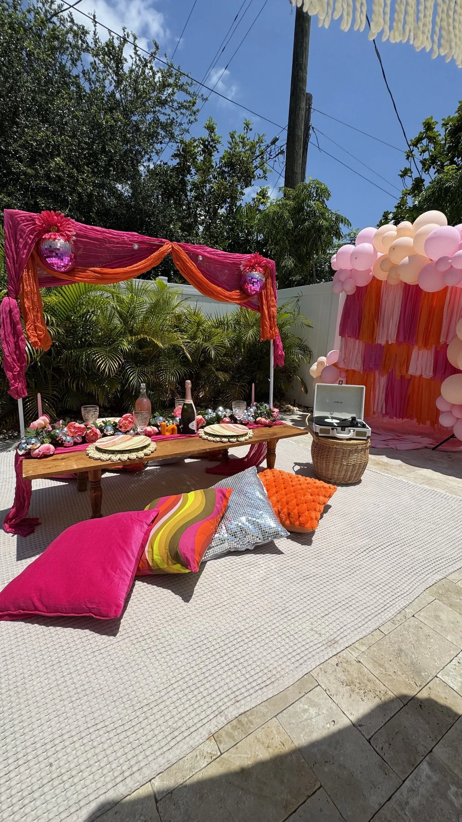 disco themed picnics tampa and st. petersburg, FL