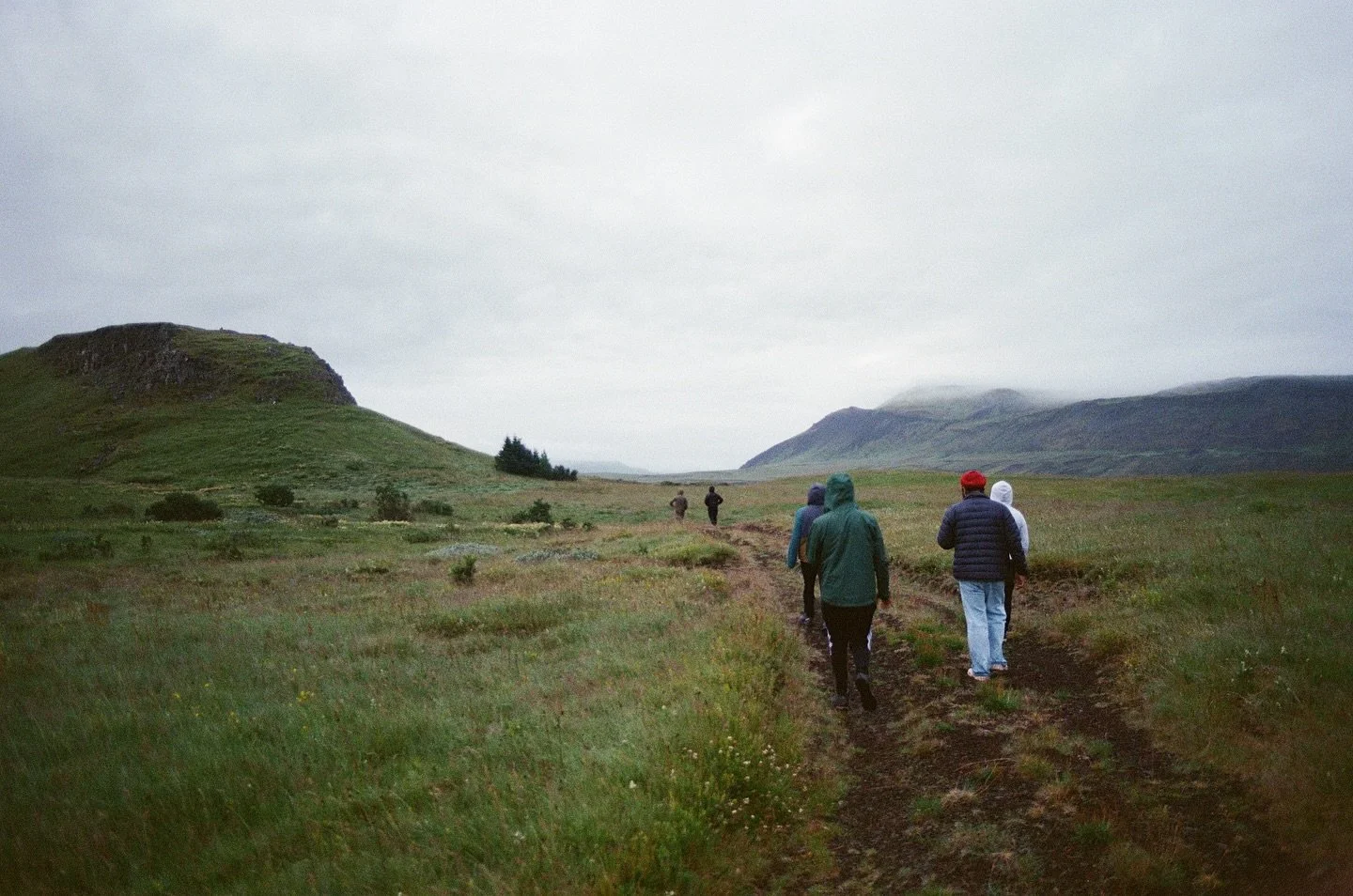 iceland july&rsquo;25
.
.
.
.
.
.
.
.
.
.
.
.
.
.
.
.
.
.
.
.
.
#film #filmphotography #35mmfilm #35mm #canon #kodak #fujifilm #ultramax400 #kodakultramax400 #filmisnotdead #kodakfilm #35mmfilm #iceland #adventure #summer #nature #hiking  #wanderlust