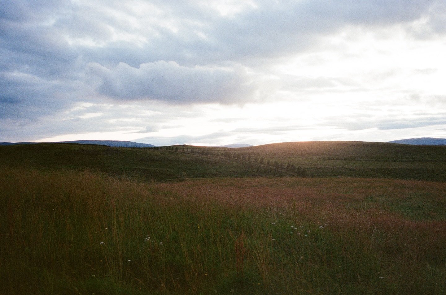iceland july&rsquo;25
.
.
.
.
.
.
.
.
.
.
.
.
.
.
.
.
.
.
.
.
.
#film #filmphotography #35mmfilm #35mm #canon #kodak #fujifilm #ultramax400 #kodakultramax400 #filmisnotdead #kodakfilm #35mmfilm #iceland #adventure #summer #nature #hiking  #wanderlust