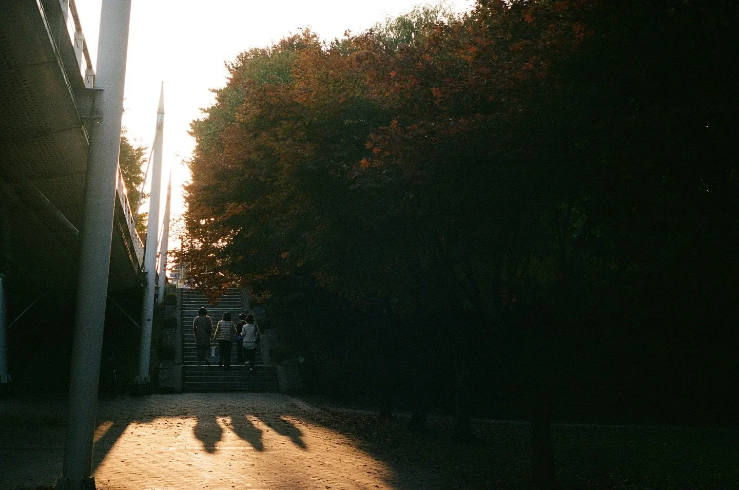 seoul nov&rsquo;22
.
.
.
.
.
.
.
.
.
.
.
.
.
.
.
.
.
.
.
.
.
#film #filmphotography #35mmfilm #35mm #canon #kodak #fujifilm #ultramax400 #kodakultramax400 #filmisnotdead #kodakfilm #35mmfilm #seoul #korea #sunset #adventure #fall #nature #hiking  #wa