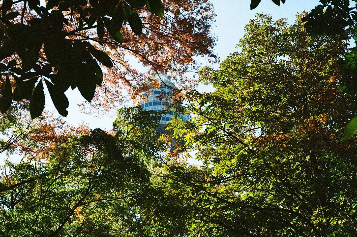 seoul nov&rsquo;22
.
.
.
.
.
.
.
.
.
.
.
.
.
.
.
.
.
.
.
.
.
#film #filmphotography #35mmfilm #35mm #canon #kodak #fujifilm #ultramax400 #kodakultramax400 #filmisnotdead #kodakfilm #35mmfilm #seoul #korea #sunset #adventure #fall #nature #hiking  #wa