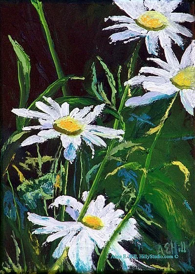 Popping Daisies