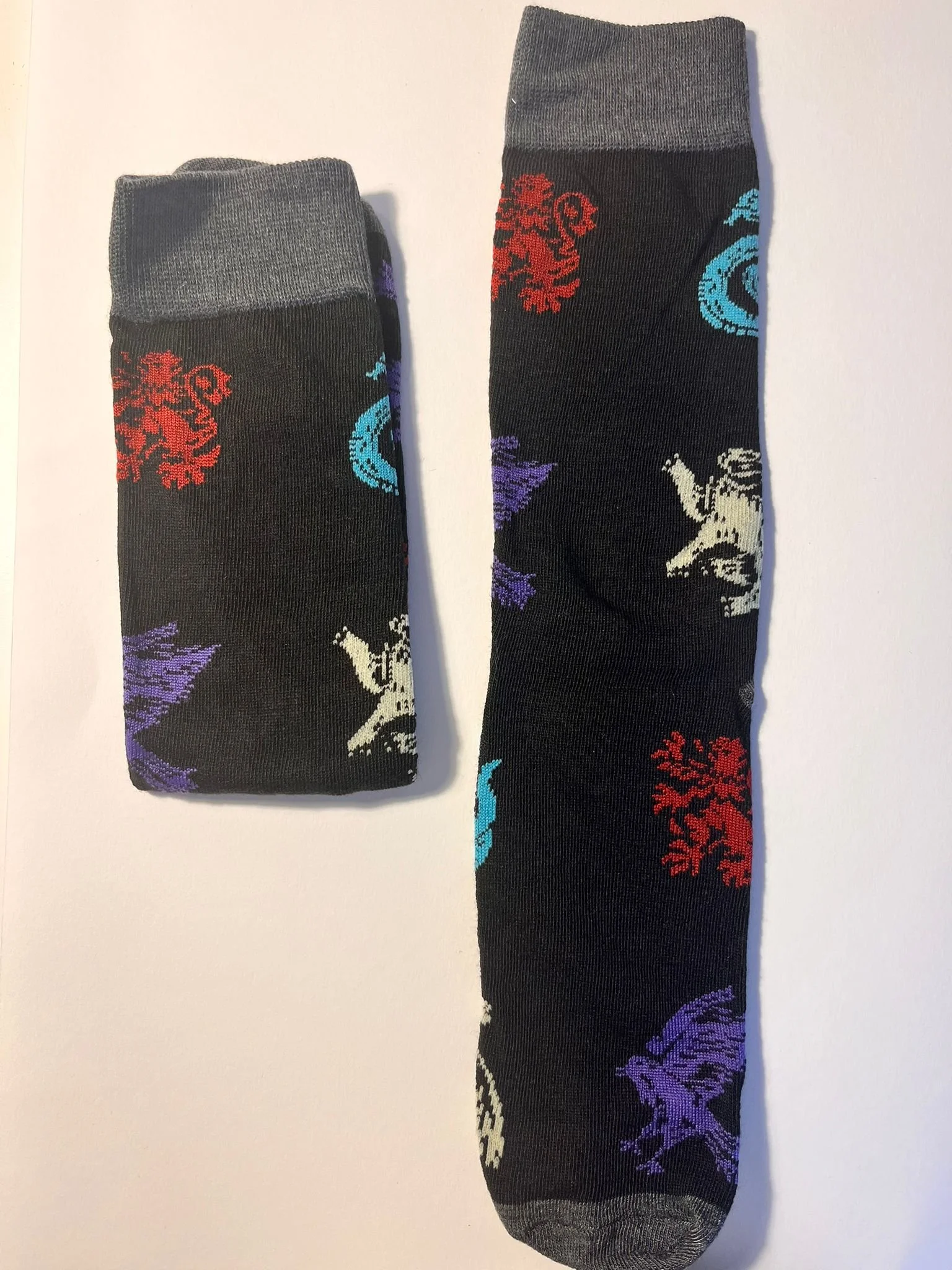 WhatsApp Image 2026-01-31 at 16.19.09.jpeg