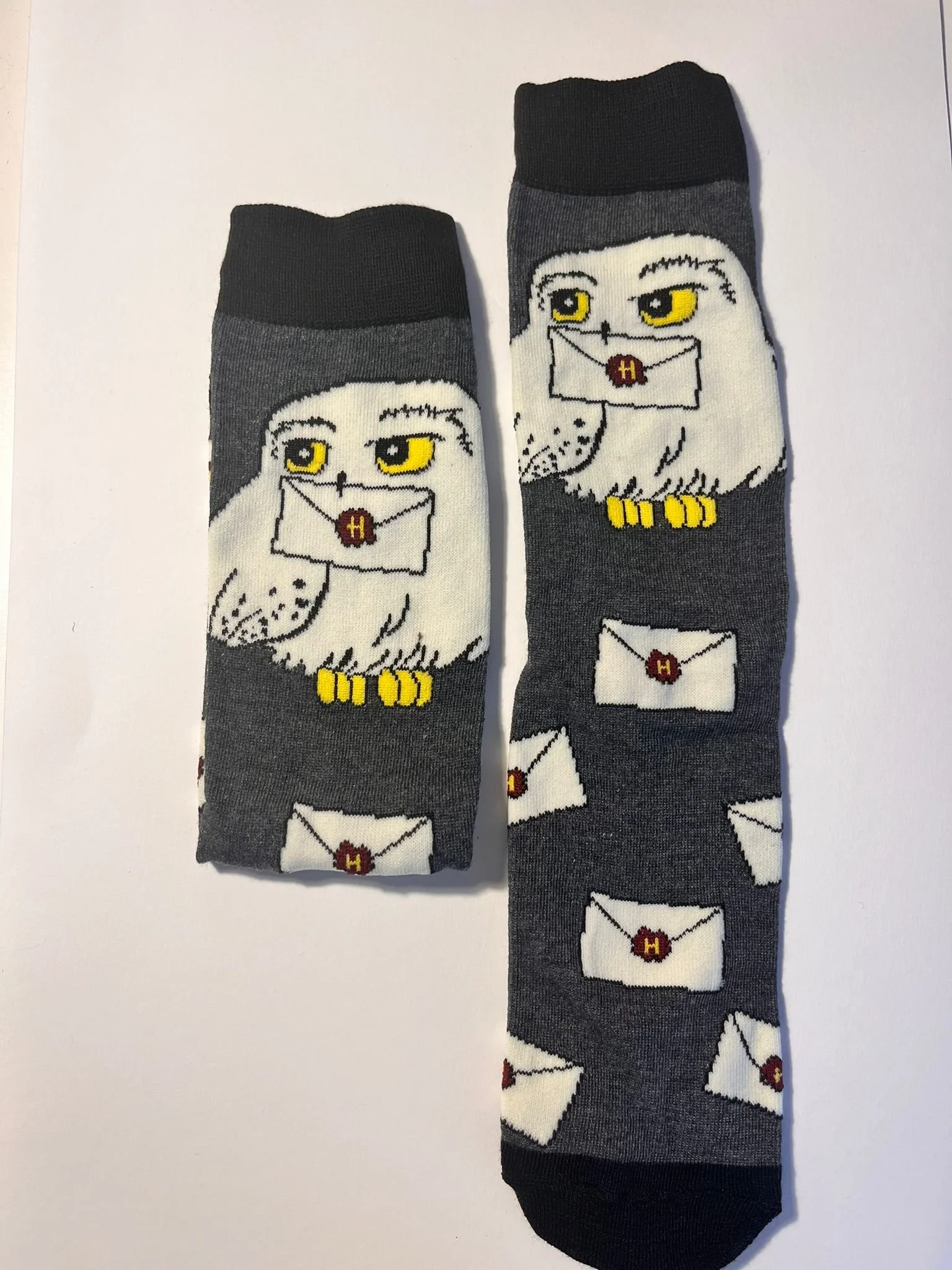 WhatsApp Image 2026-01-31 at 16.19.10.jpeg