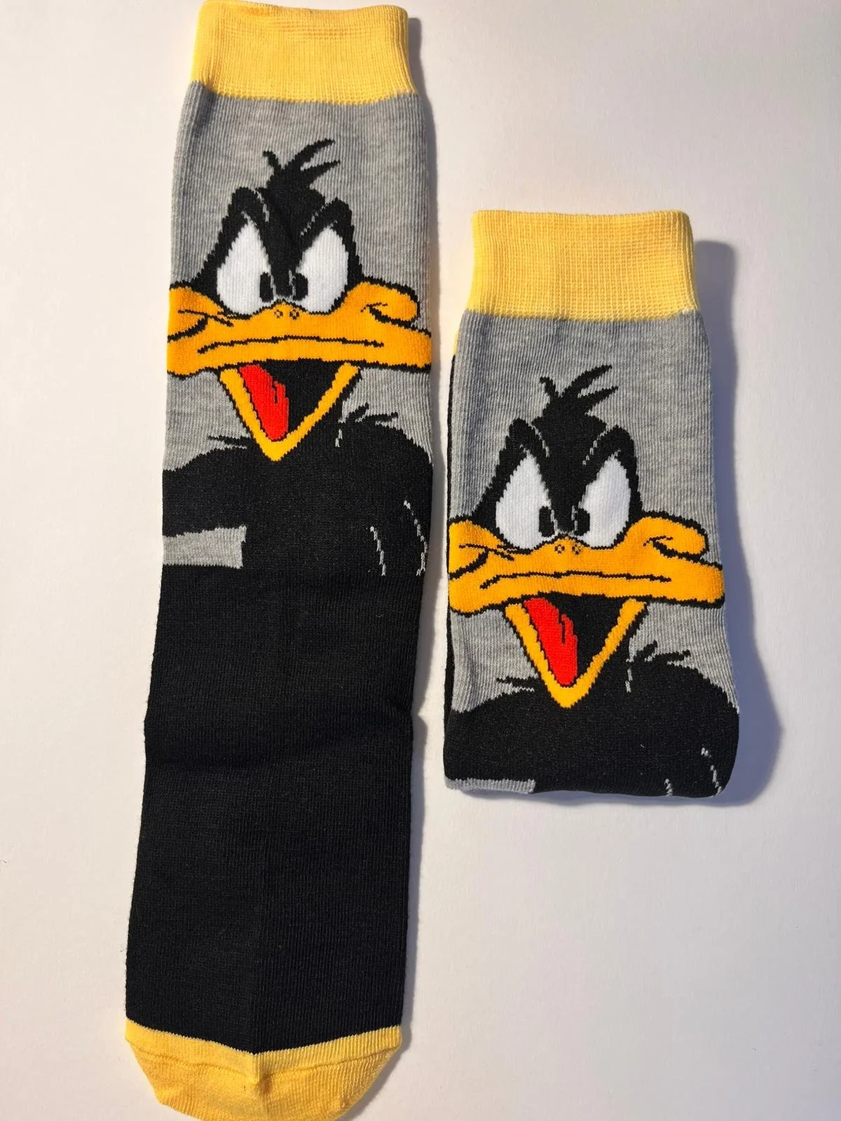 WhatsApp Image 2026-01-31 at 16.18.18.jpeg