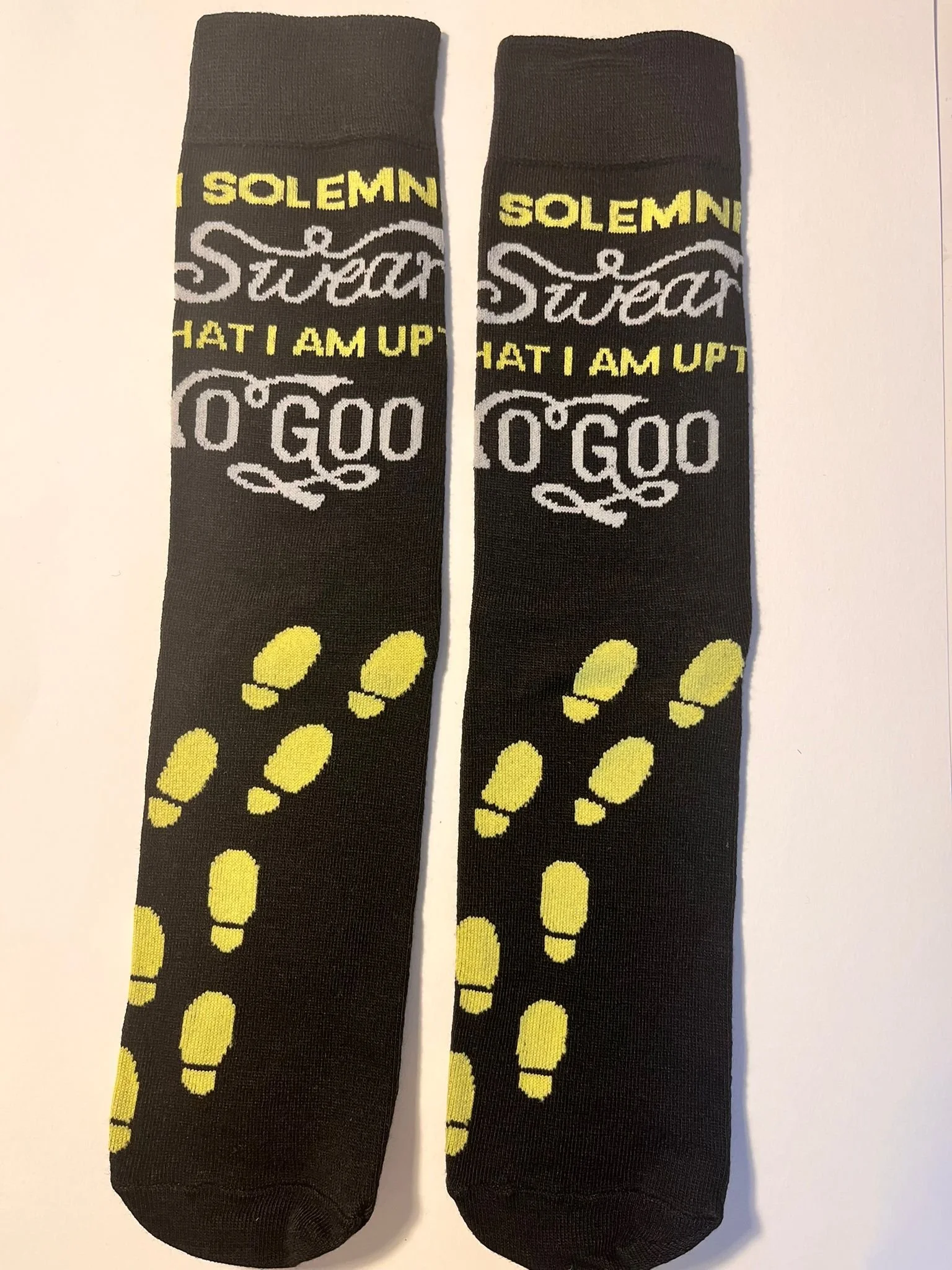 WhatsApp Image 2026-01-31 at 16.19.09 (3).jpeg