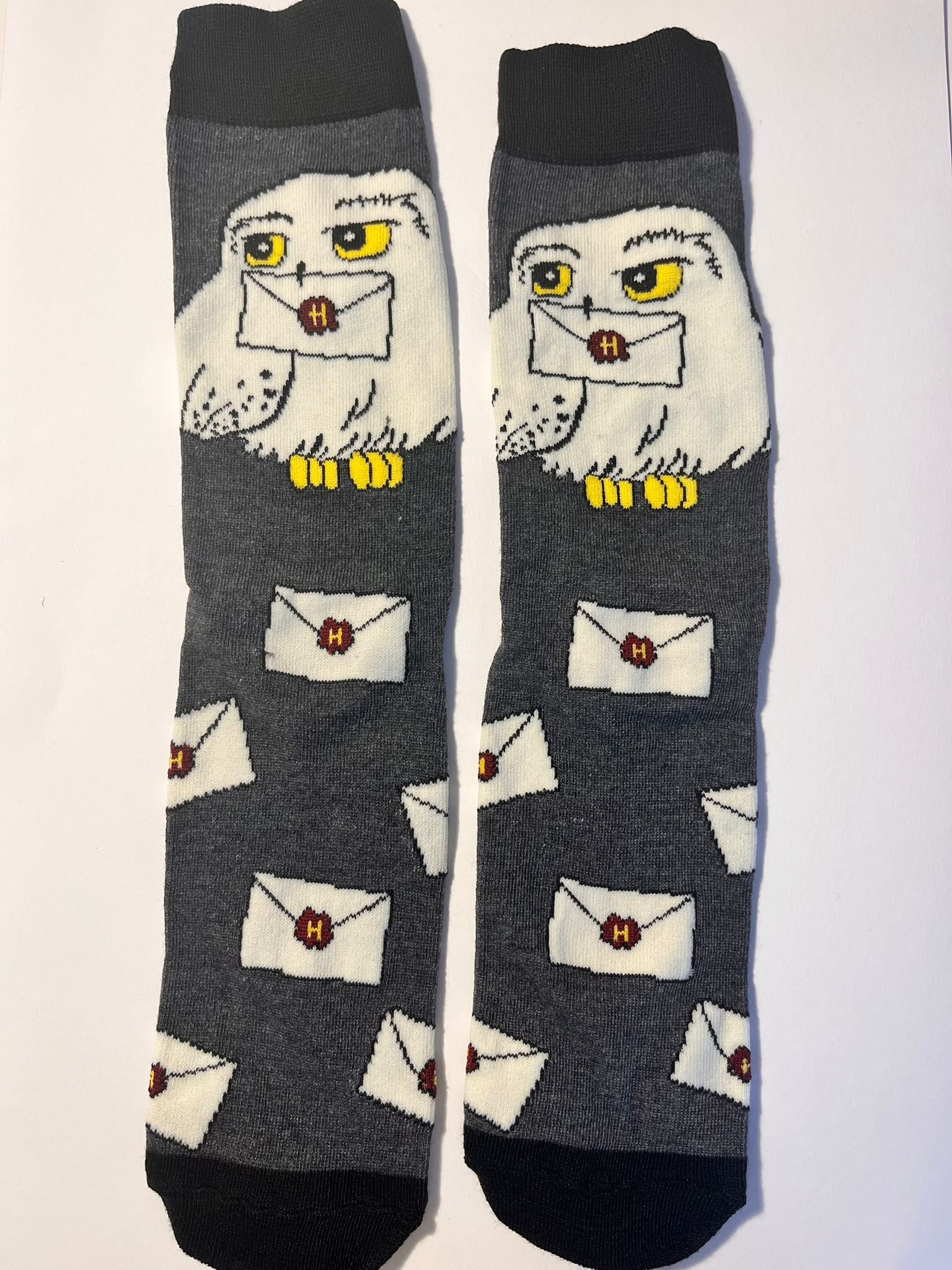 WhatsApp Image 2026-01-31 at 16.19.10 (1).jpeg