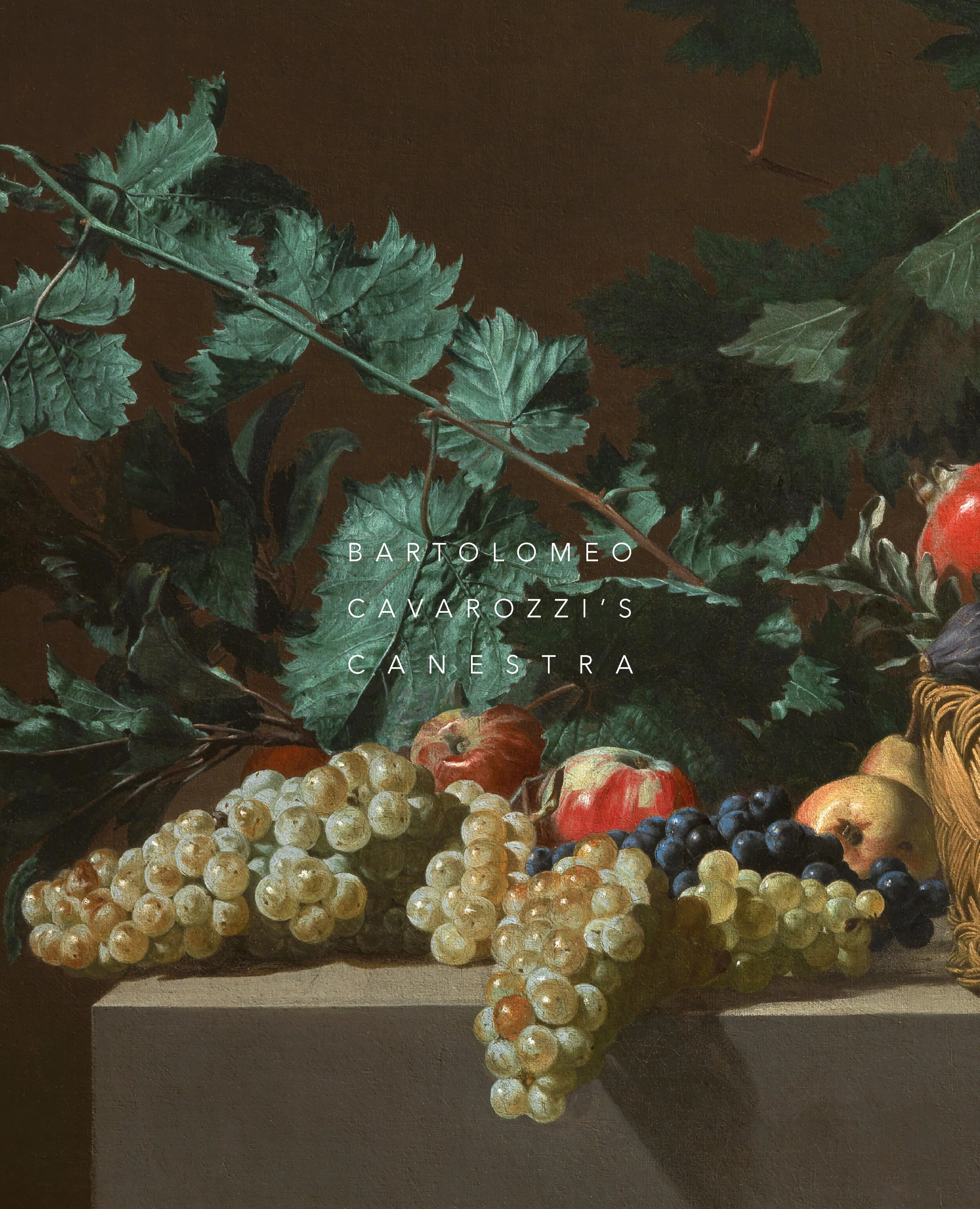 CAVAROZZI NO SHADOW.png