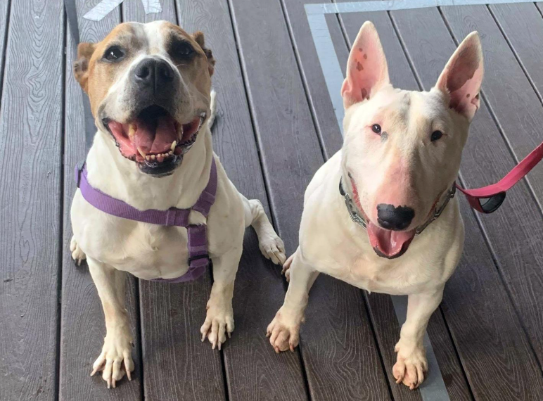 Screenshot 2025-11-29 211313.png