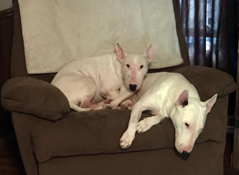 Screenshot 2025-11-29 211339.png