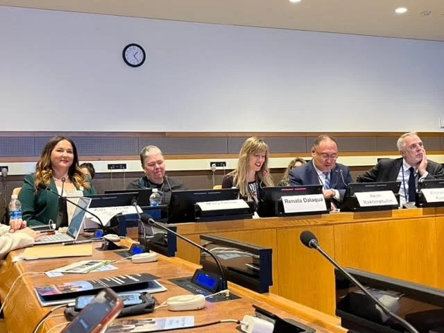 UNIDIR event 2025 2 panel.jpg
