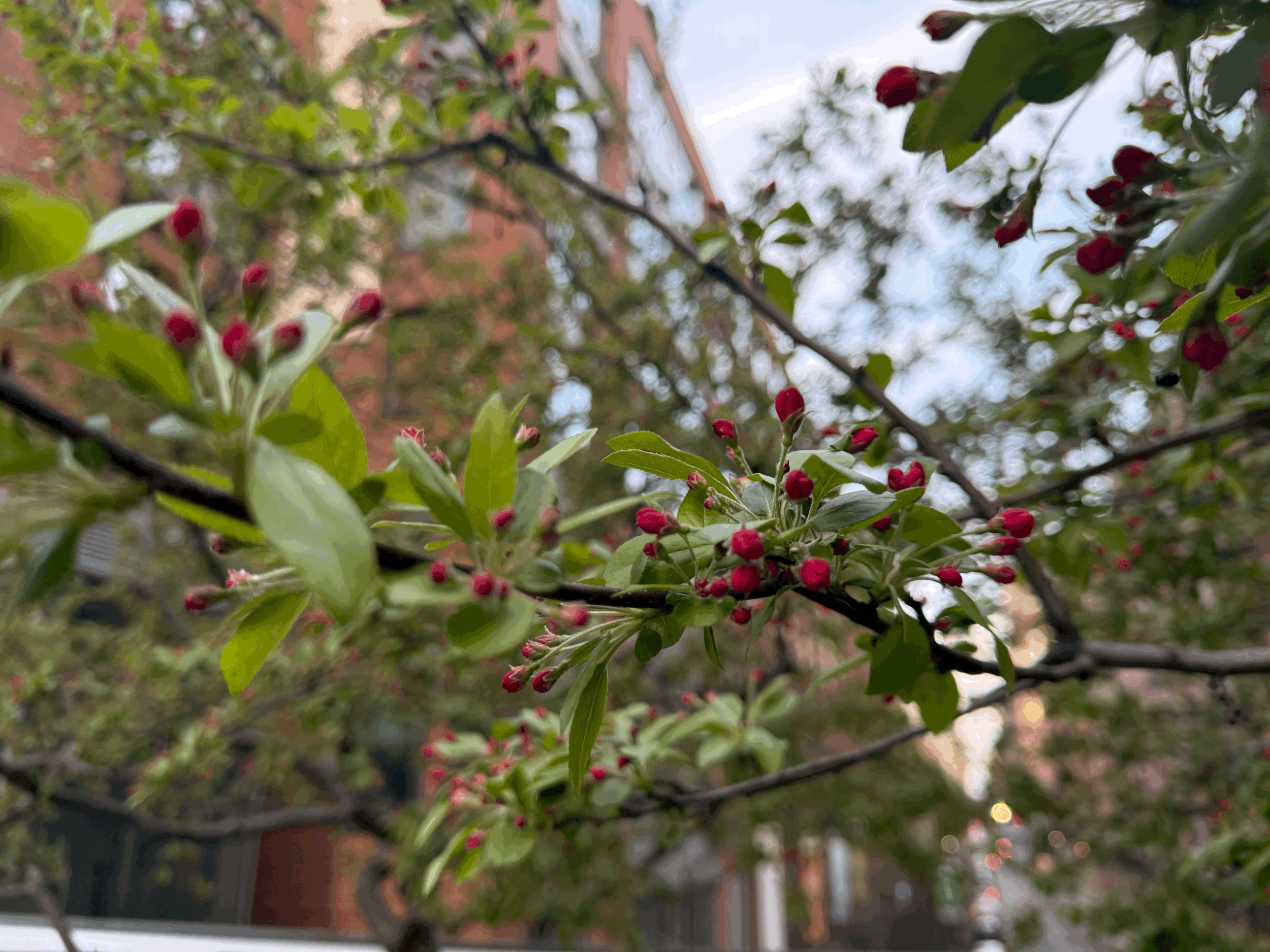 You Are Allowed to Be a Contradiction.