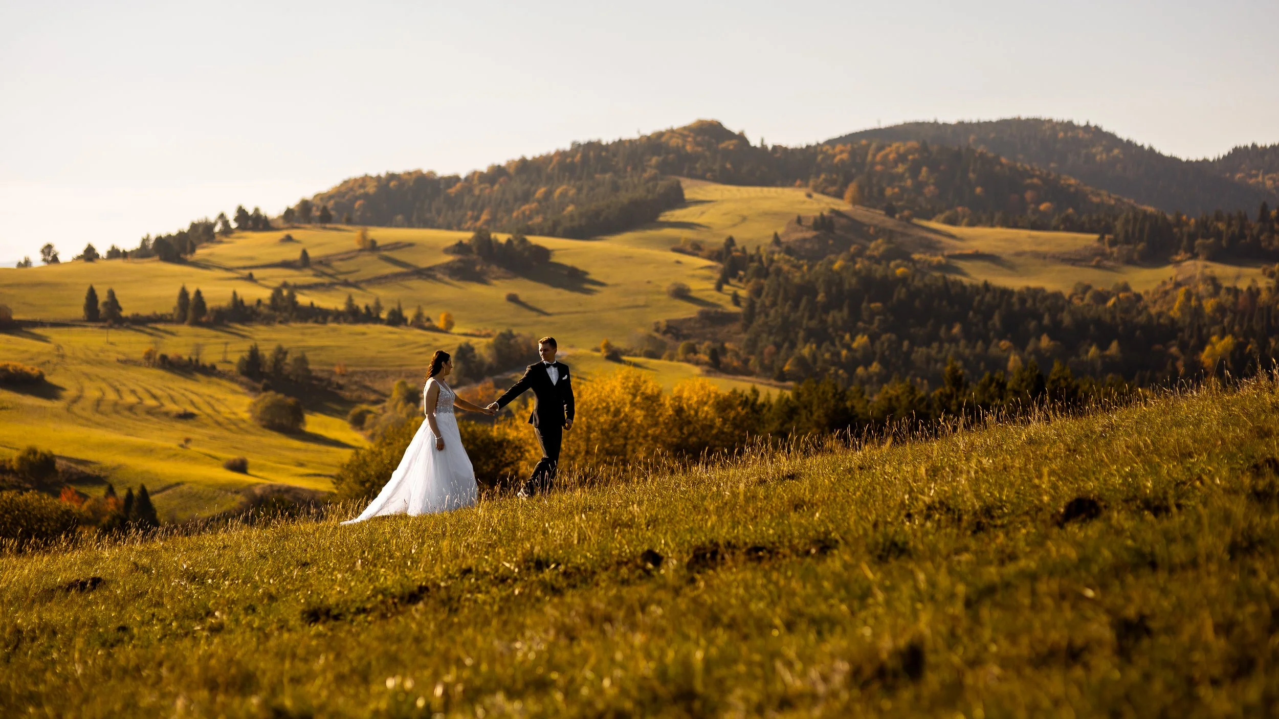 A bride and groom holding hands in a grassy field with rolling hills and trees in the background during sunset.