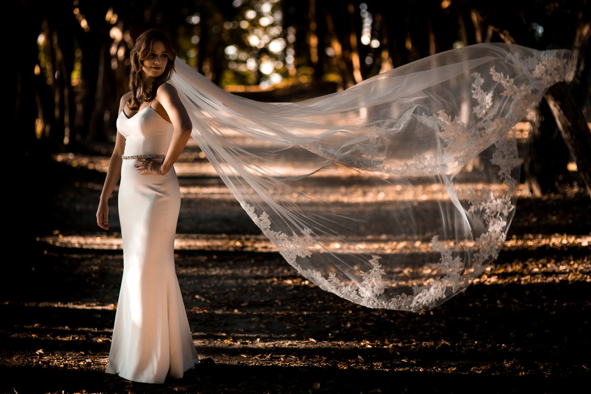 A bride in a white wedding dress with a beaded belt, standing in a wooded area during sunset, with her veil flowing behind her.