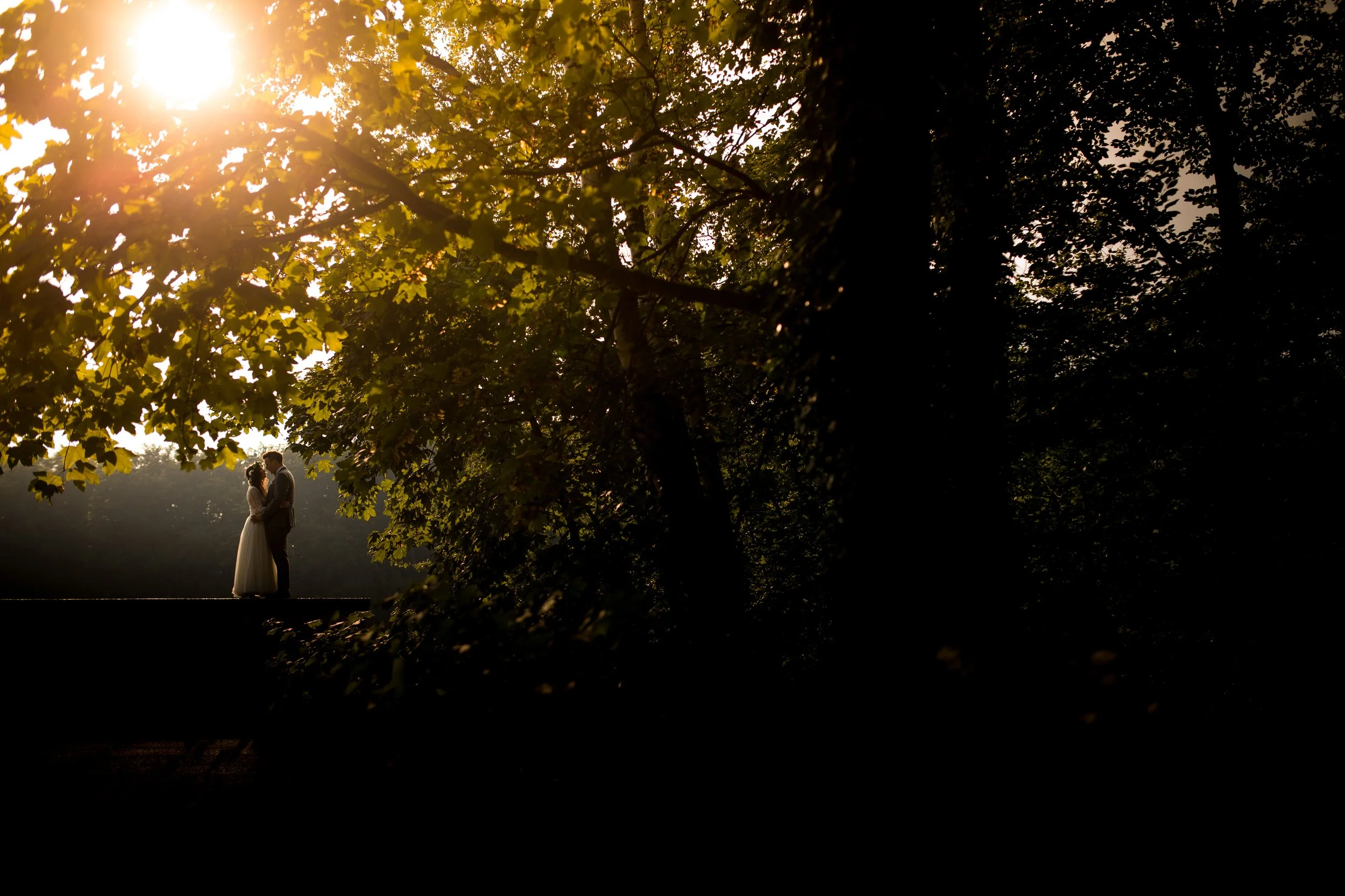 A couple stands close together underneath a large tree in a forest, backlit by the sun, creating a silhouette effect.