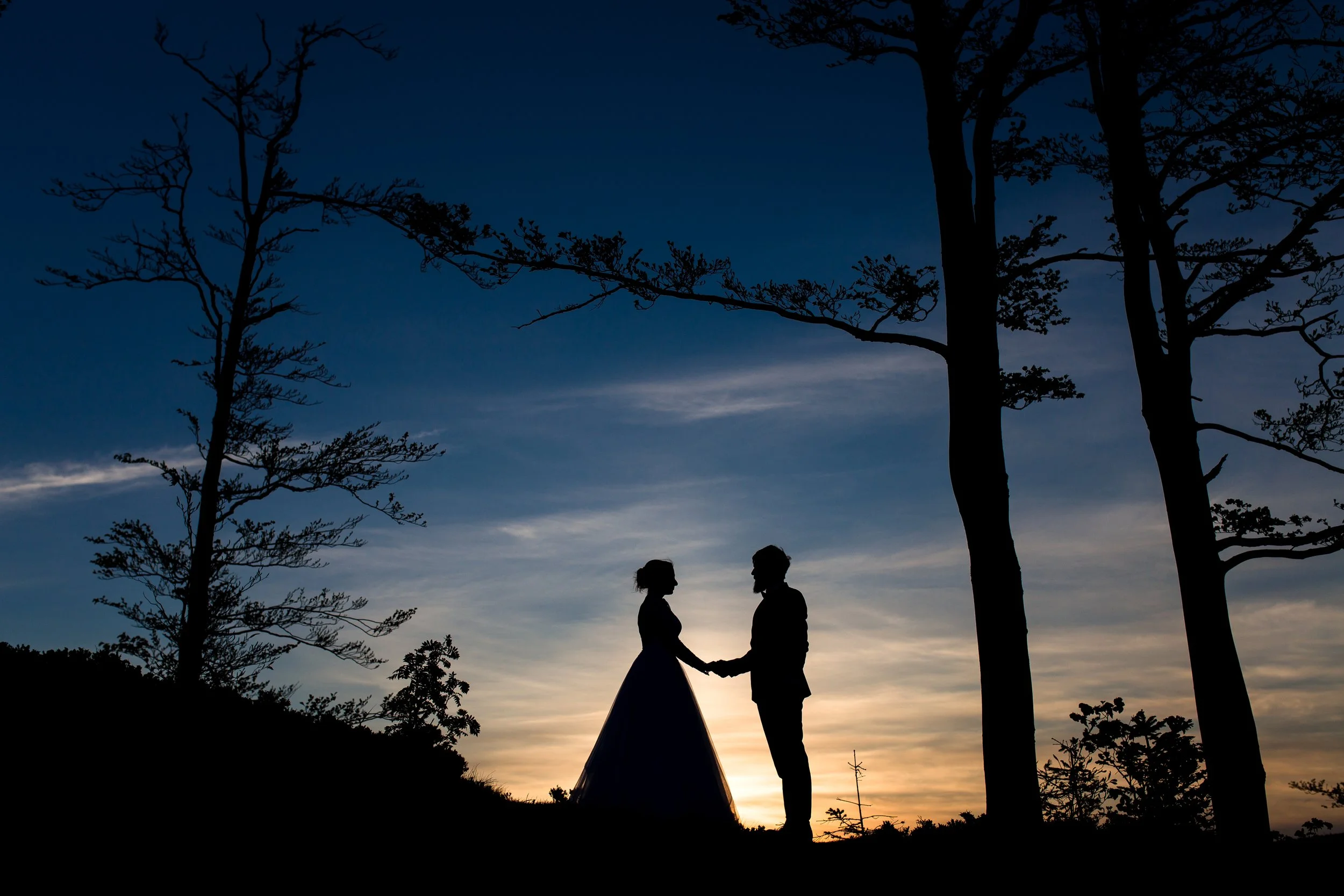 Silhouette of a couple holding hands during sunset, surrounded by trees in a natural outdoor setting.