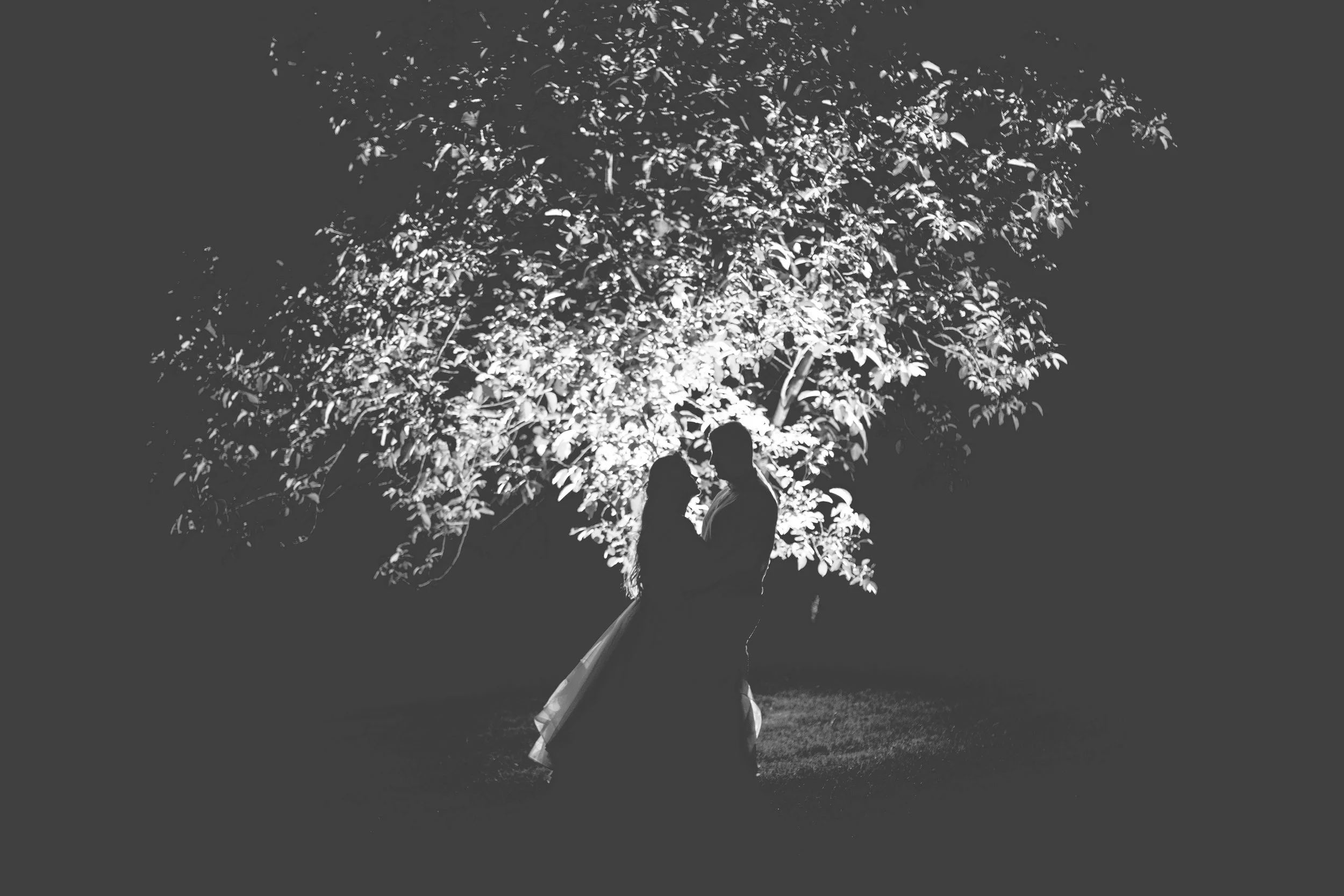 Silhouette of a couple embracing under a brightly lit tree at night
