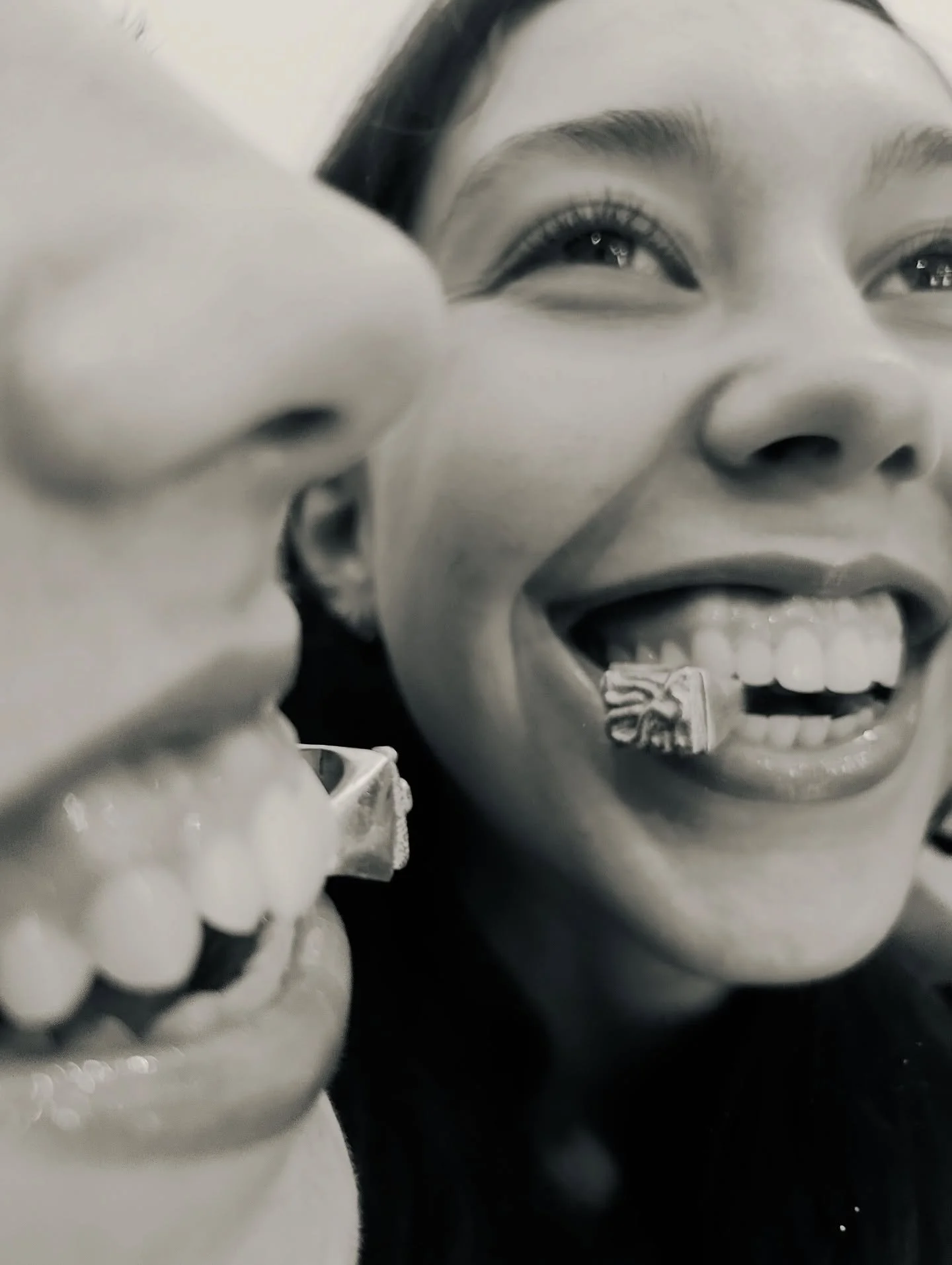 snakes in silver 🪢