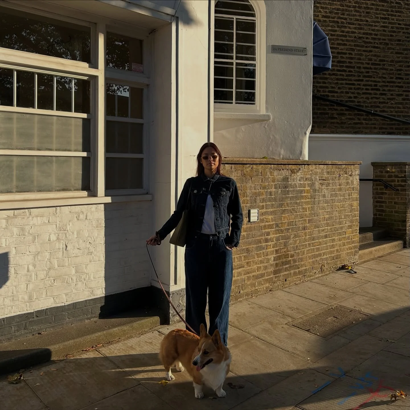 🍋🫐🍯🧵🐣🧢