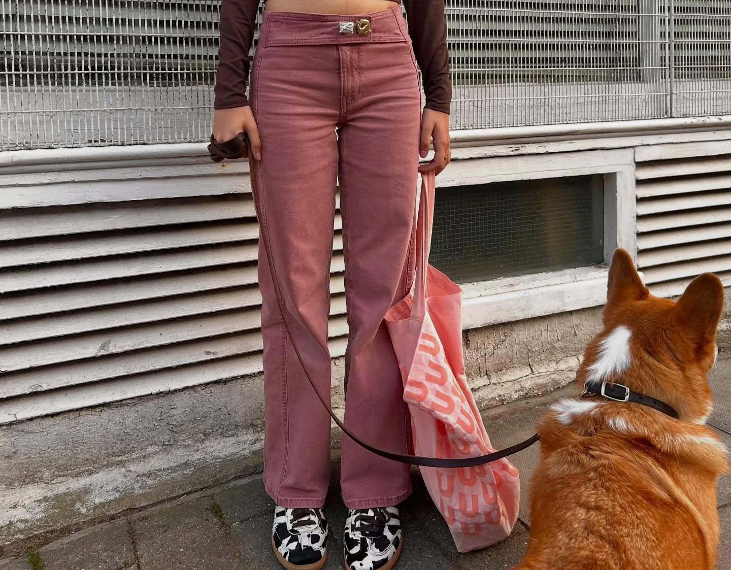 spot something shiny 🐇