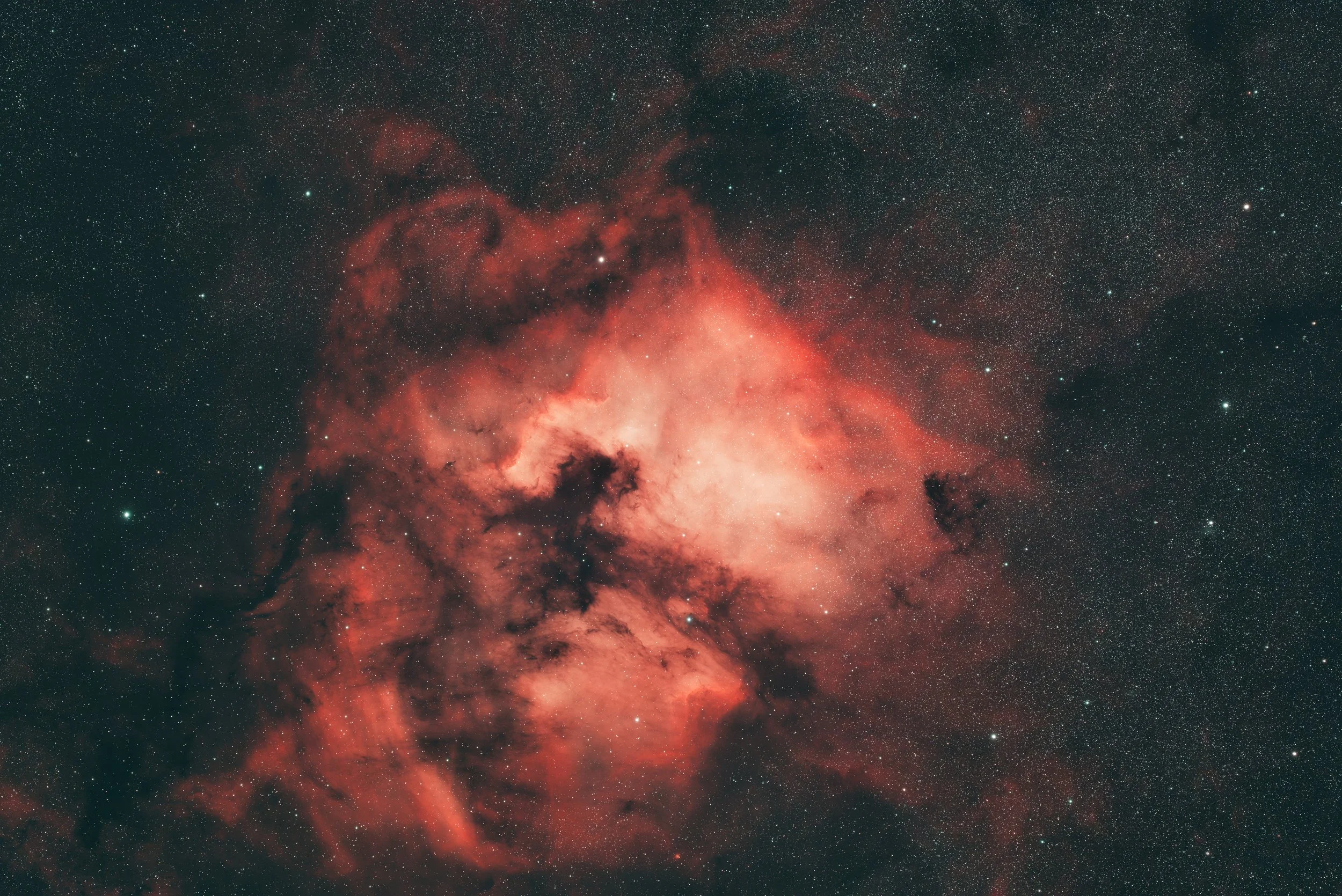 NGC7000 4.8 hours PNG PS reduced.jpg