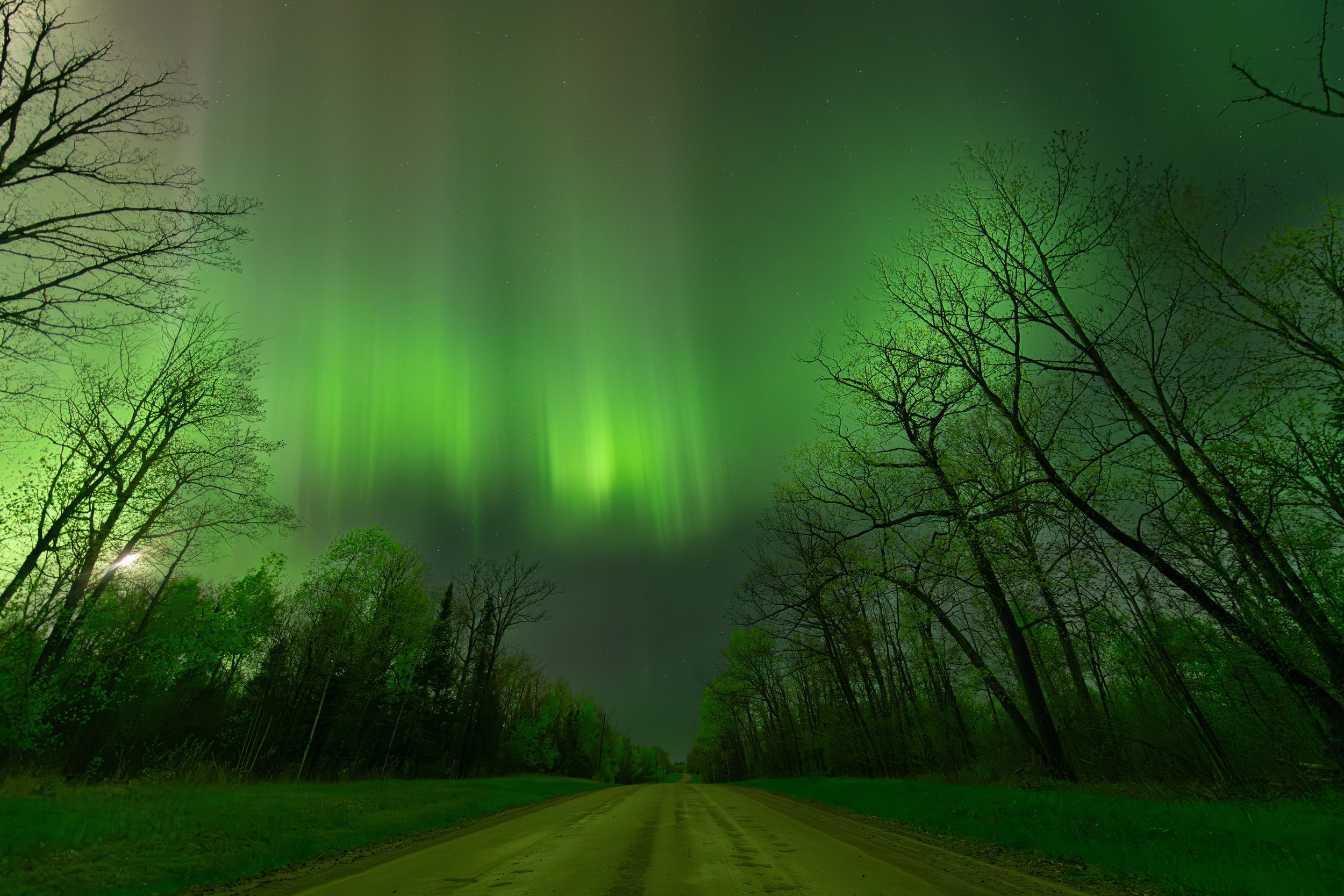 Dirt Road Northern Lights Cabin 5-11-24 LR Edit-1 PS reduced.jpg
