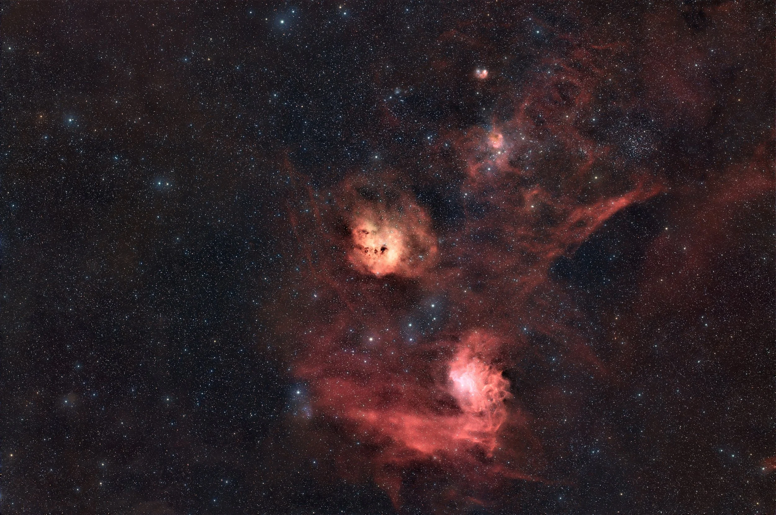 Minicat Tadpoles 6 hrs jpg PS reduced.jpg