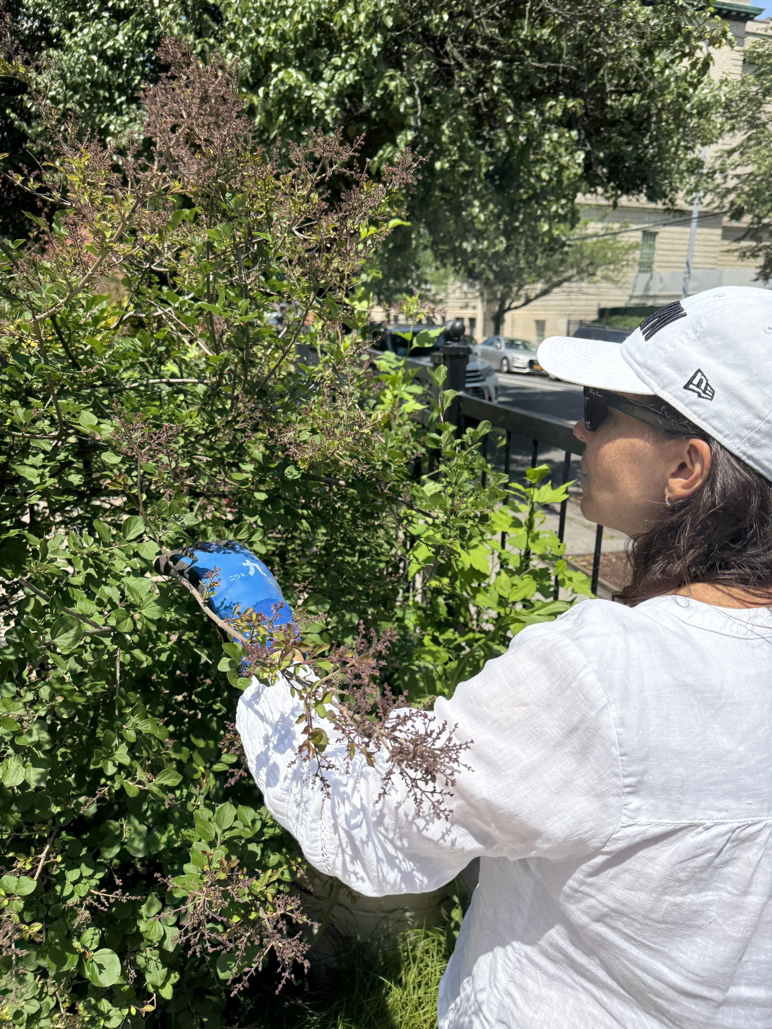 What My Clients Asked For—And How I Supported Them