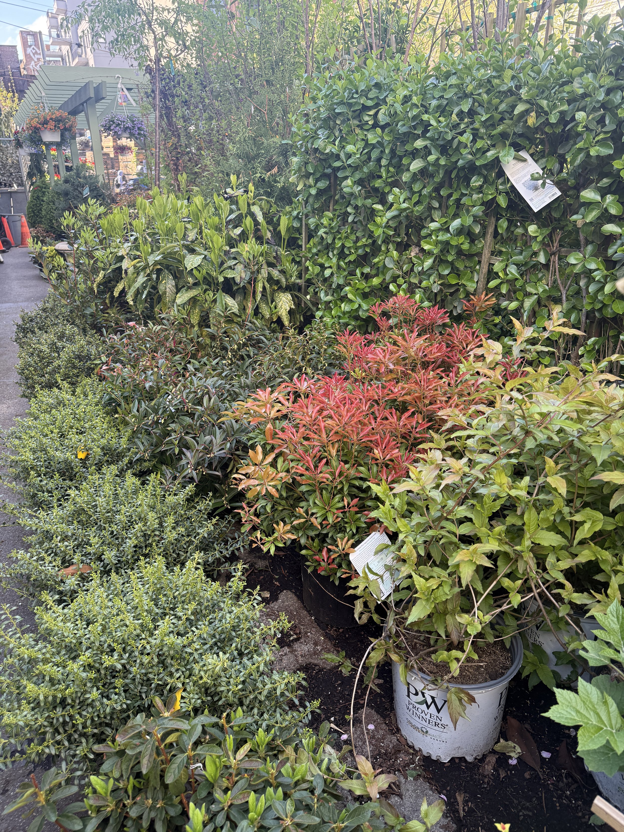 My Biggest Gardening Mistake&nbsp;