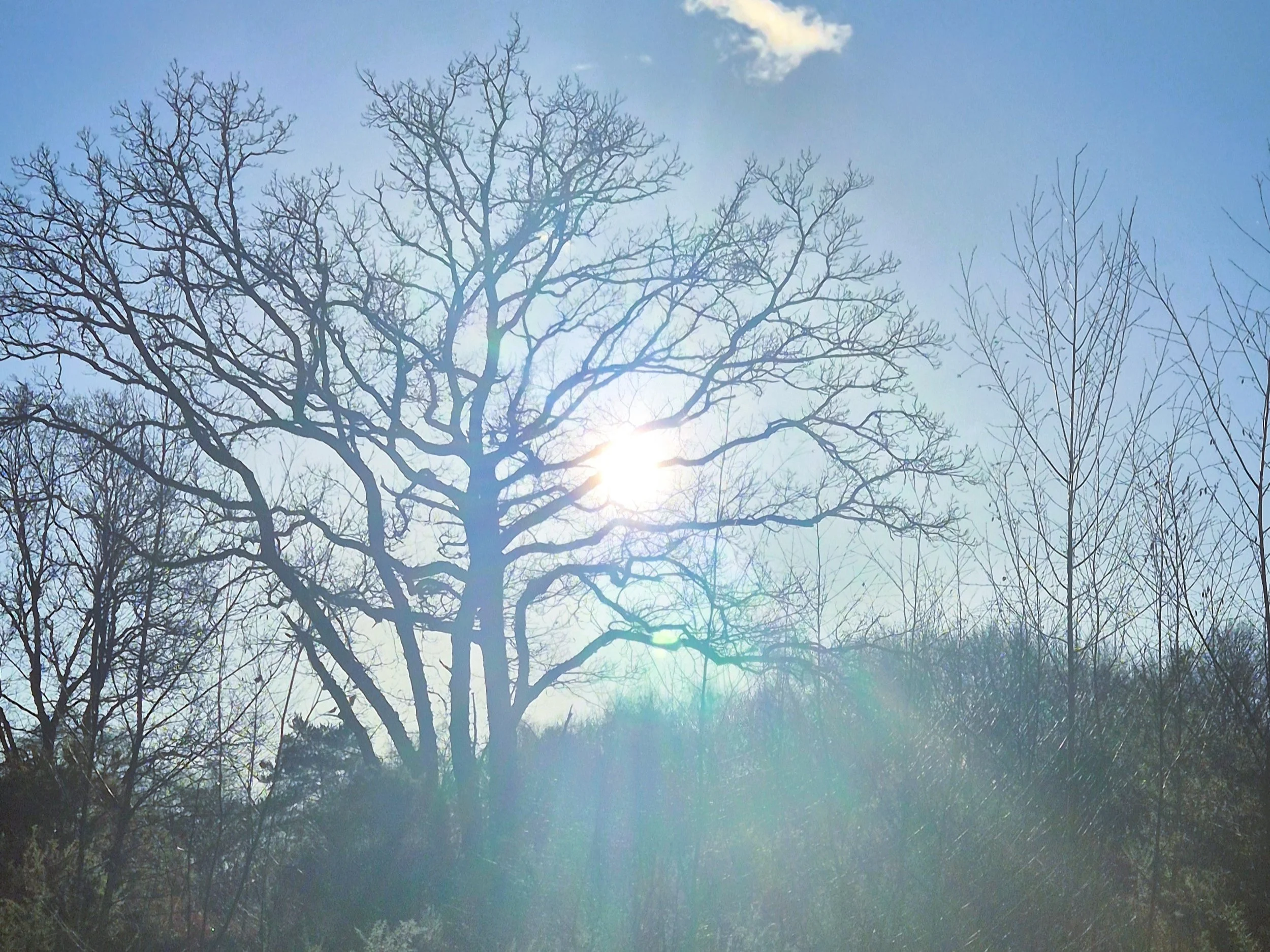 This Is the Work of Winter