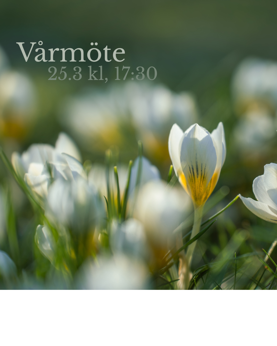 Vårmöte