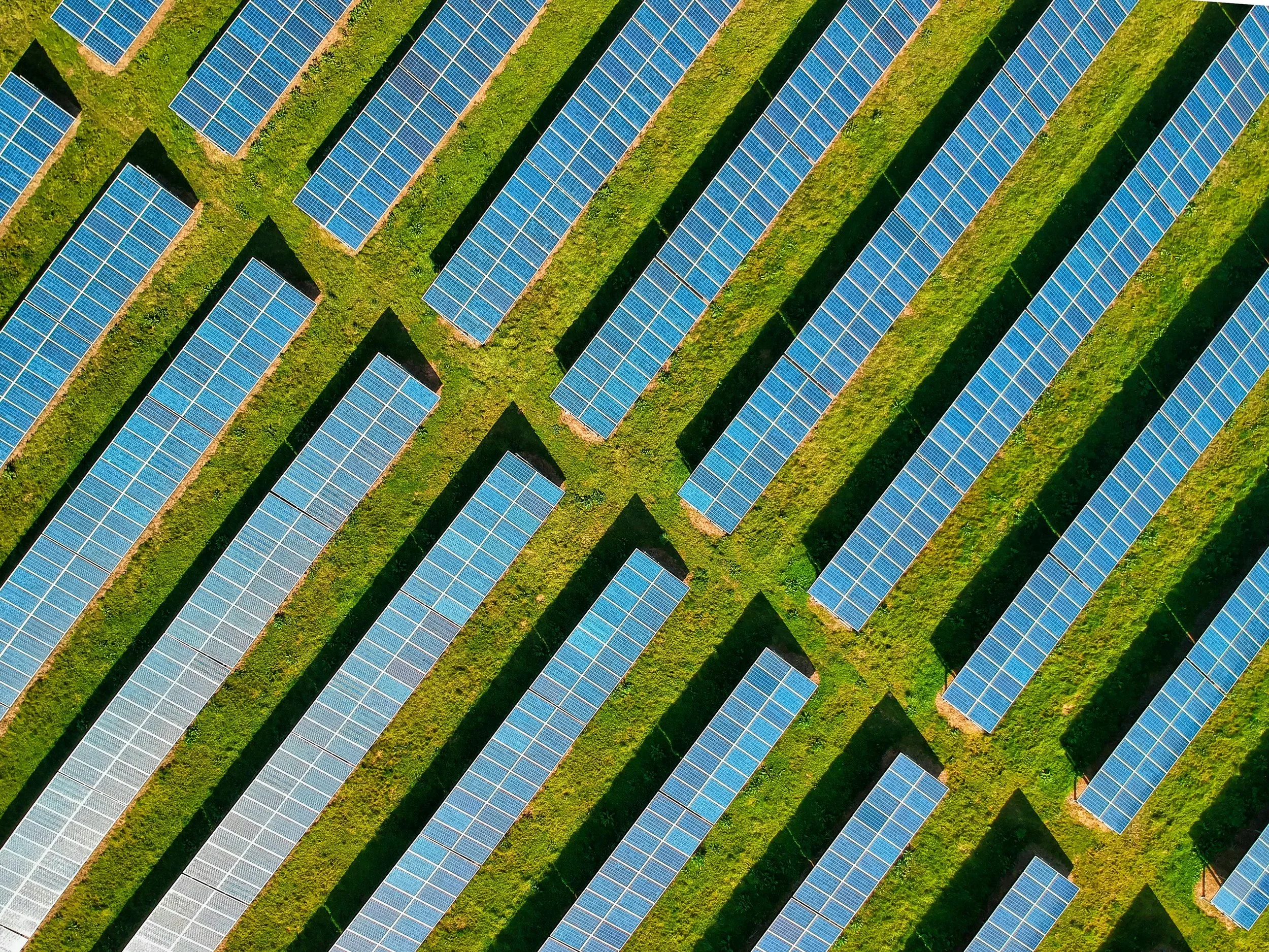 Business Ecologique : Vente de Credits Carbones a la Bourse Marocaine du Carbone, votre entreprise Verte au Maroc peut le faire! (Guide 2025)