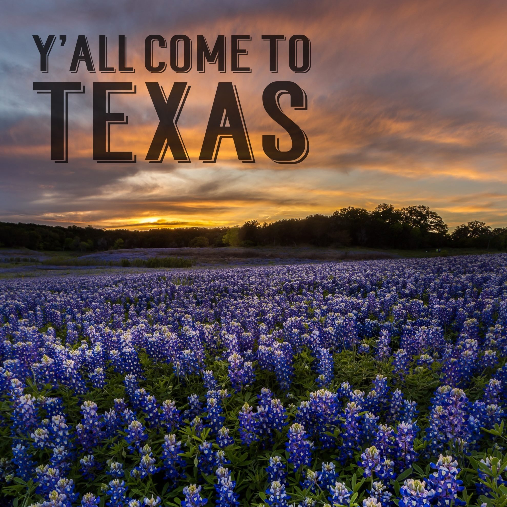 2018 International Convention Ad